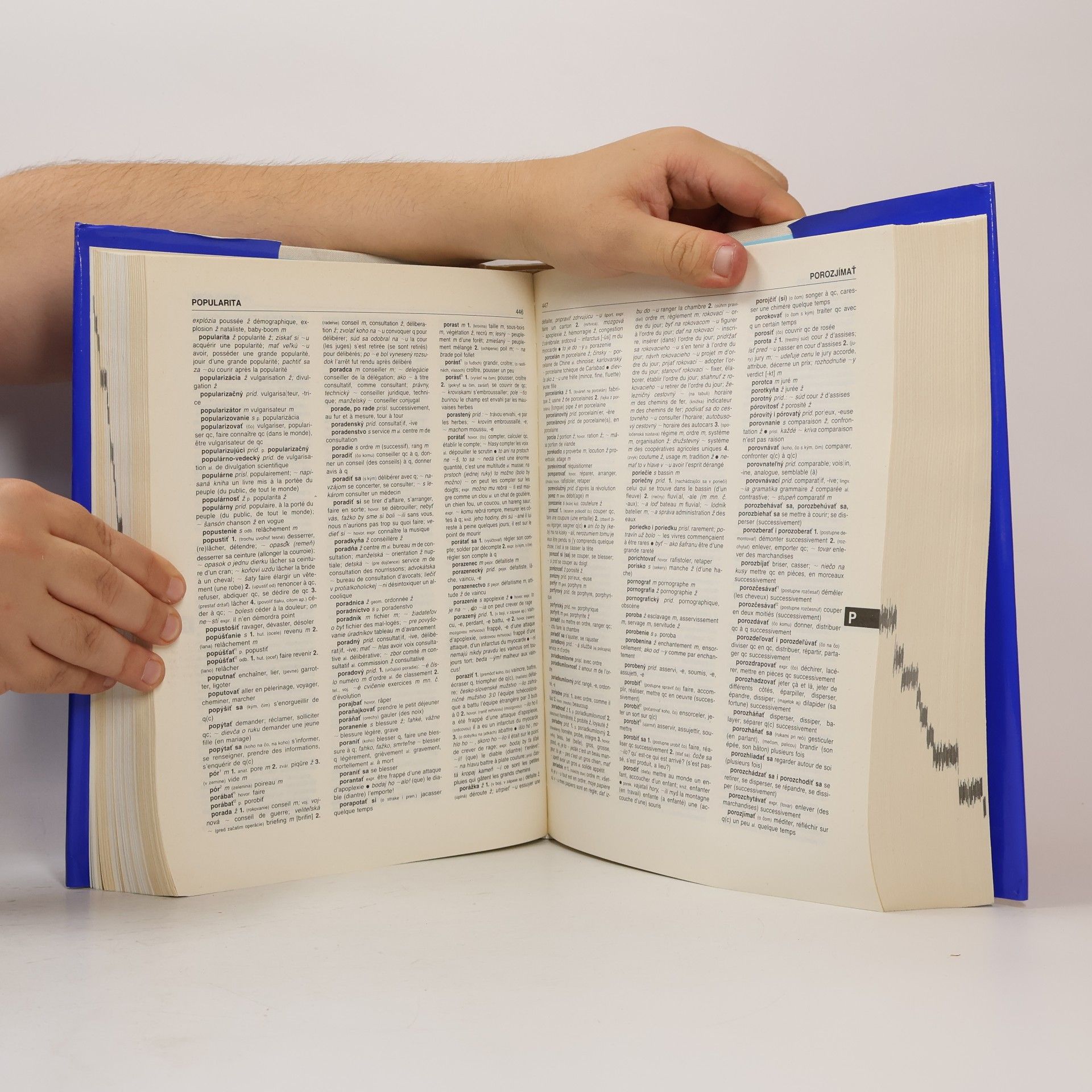 Jozef Škultéty Slovensko-francúzsky slovník. Dictionnaire slovaque-français