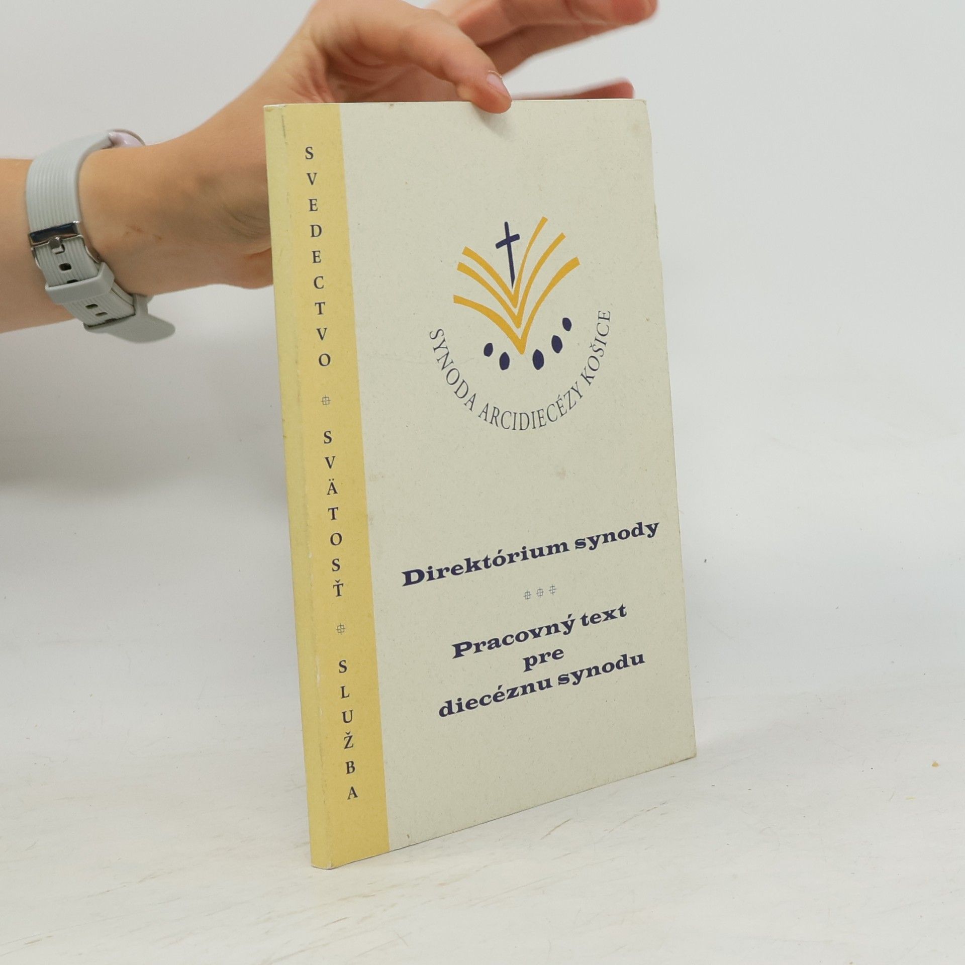 Kolektiv autorů Direktórium synody. Pracovní text pre diecéznu synodu