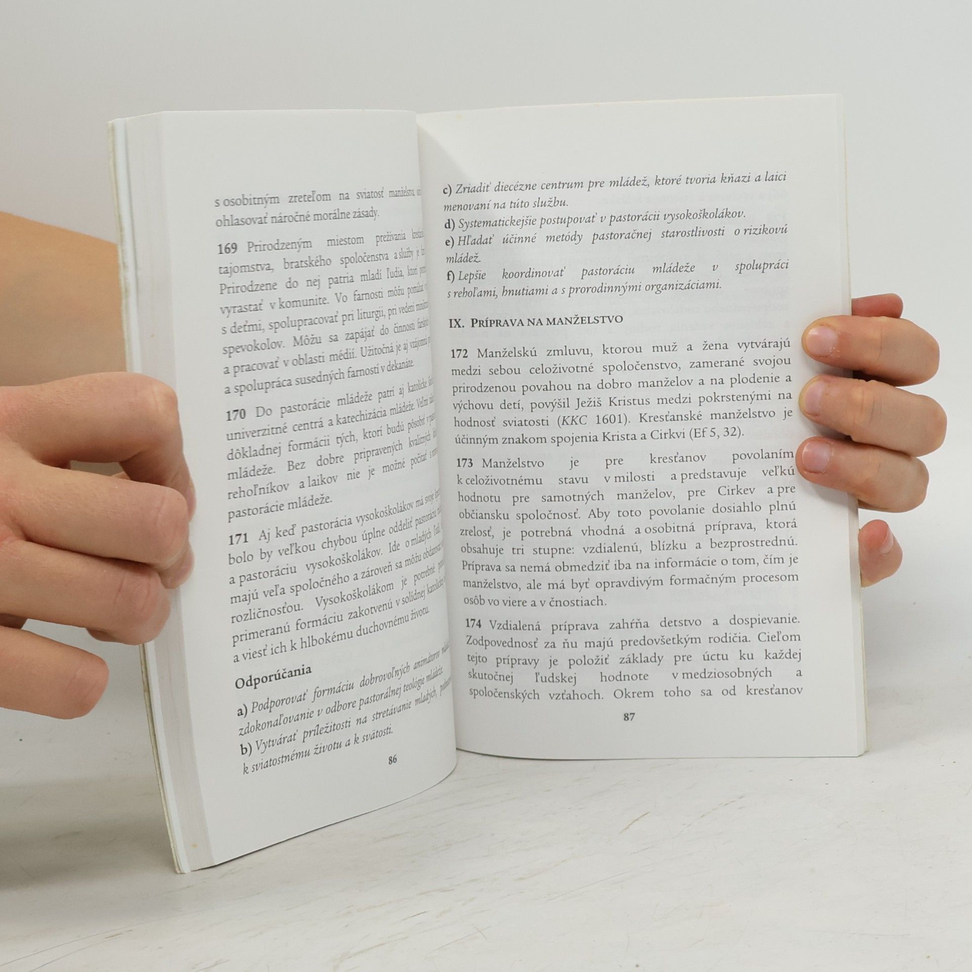 Kolektiv autorů Direktórium synody. Pracovní text pre diecéznu synodu