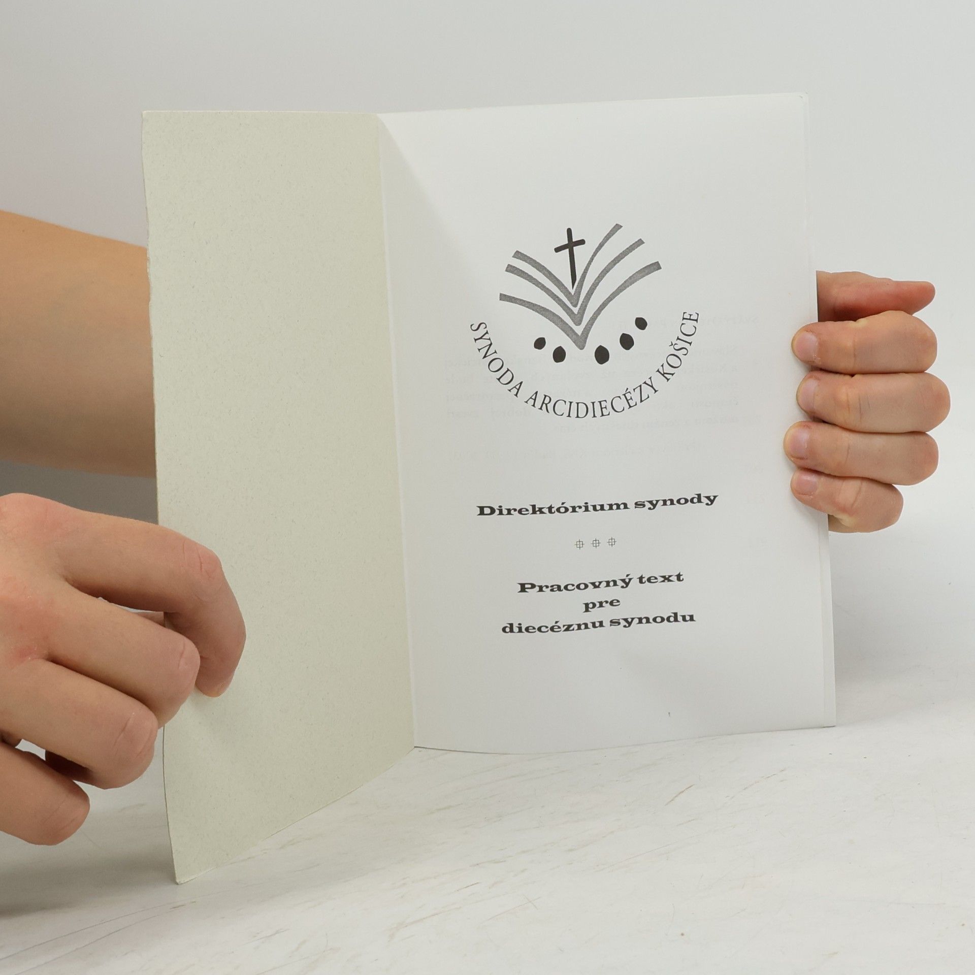 Kolektiv autorů Direktórium synody. Pracovní text pre diecéznu synodu