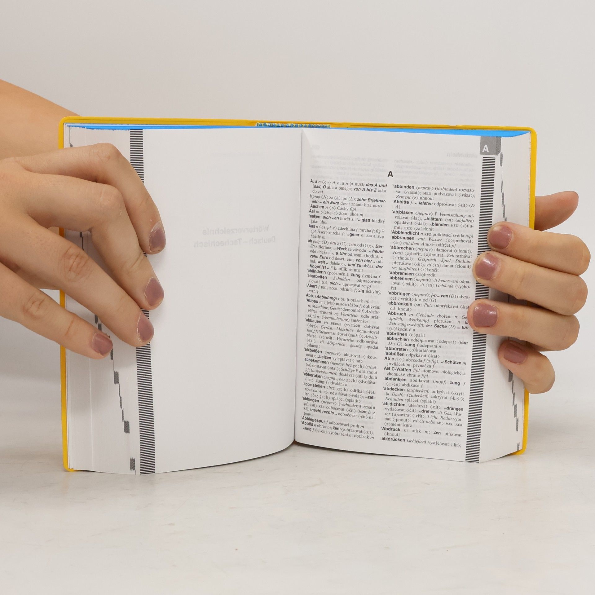 Helgunde Henschel Langenscheidt Taschenwörterbuch Tschechisch. Kapesní slovník česko-německý, německo-český