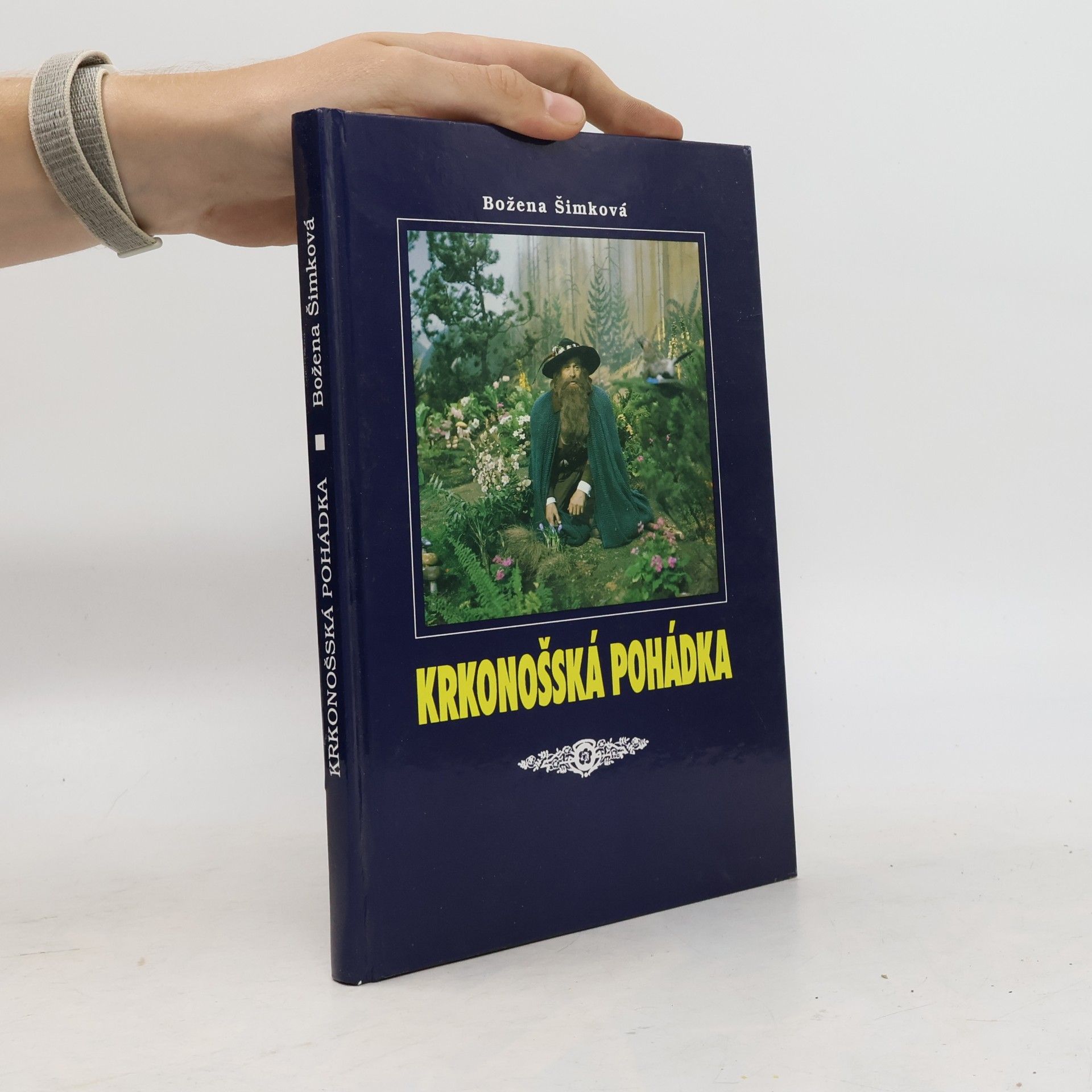 Krkonošská pohádka
