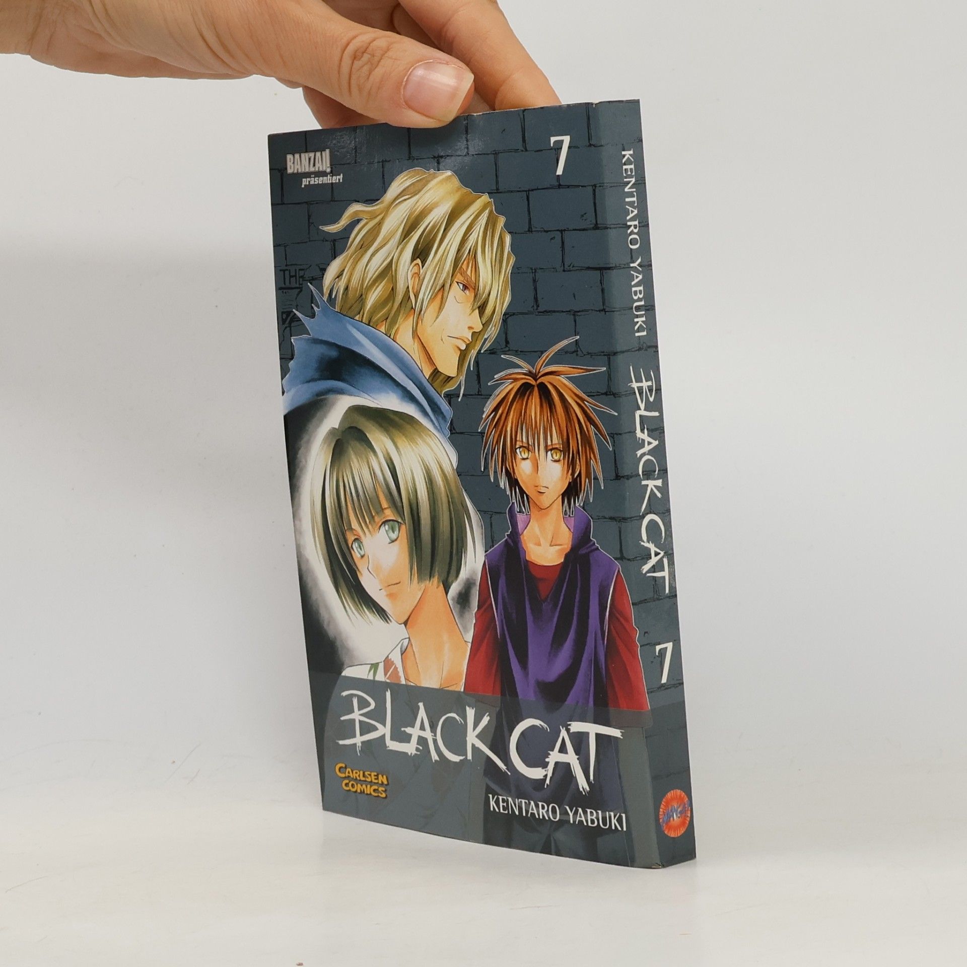 Kentarō Yabuki Black Cat 7