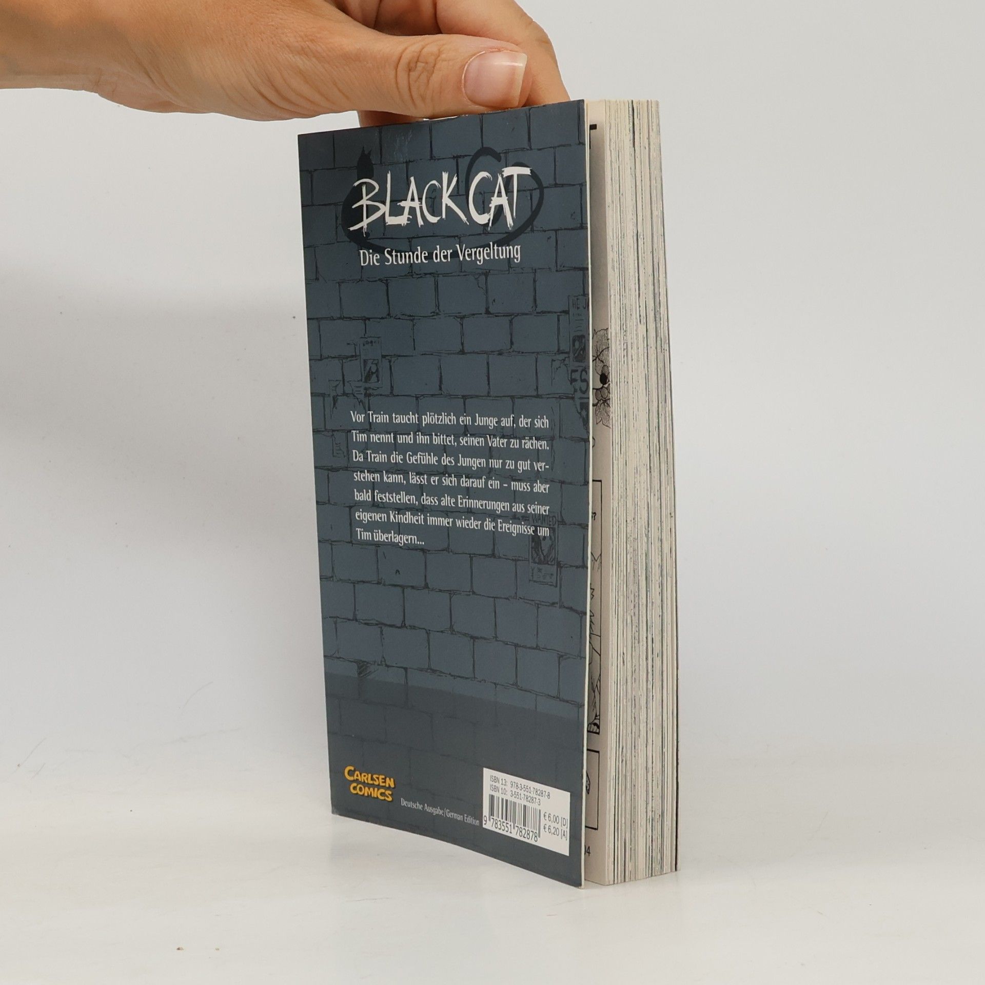 Kentaro Yabuki Black Cat 7