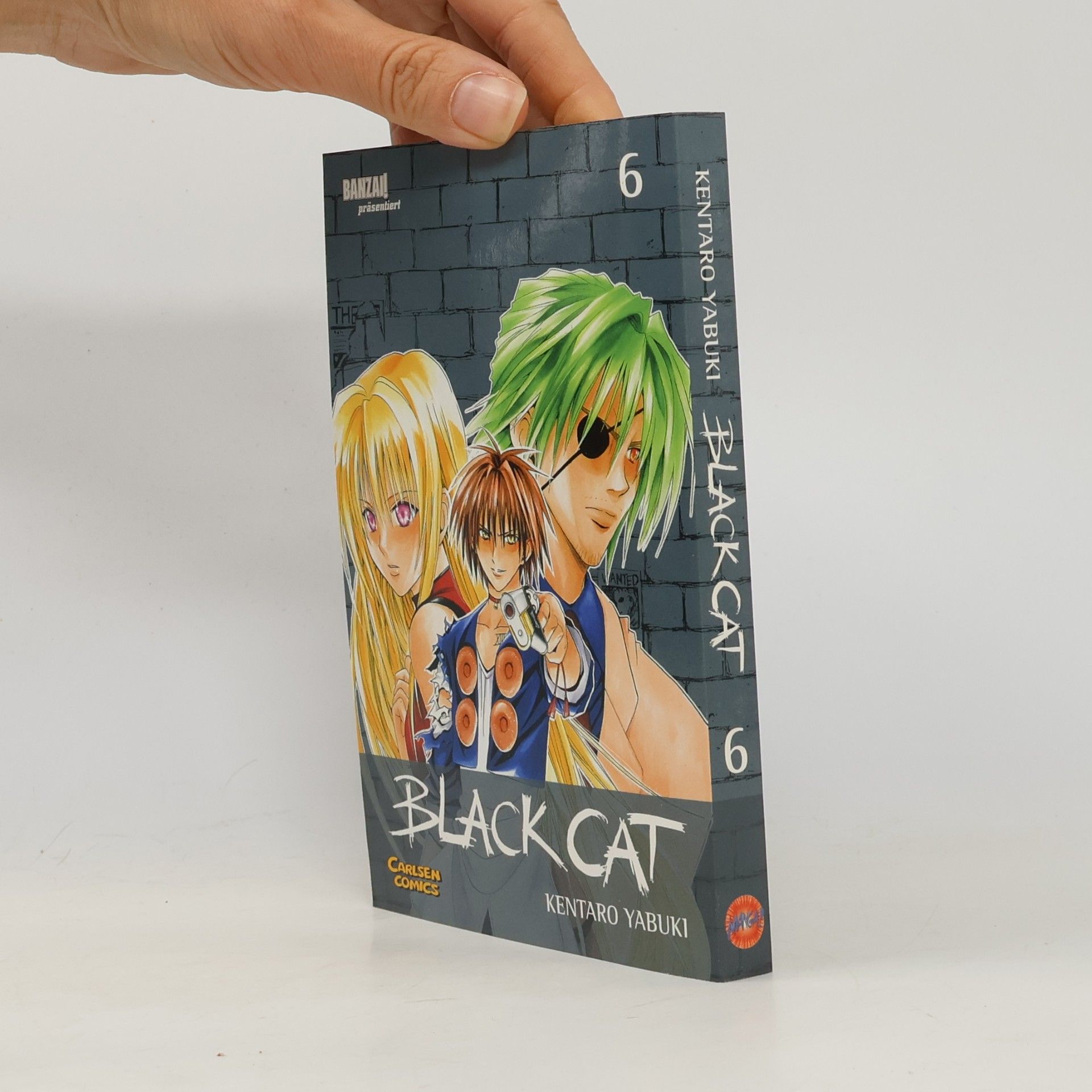 Kentarō Yabuki Black Cat 6