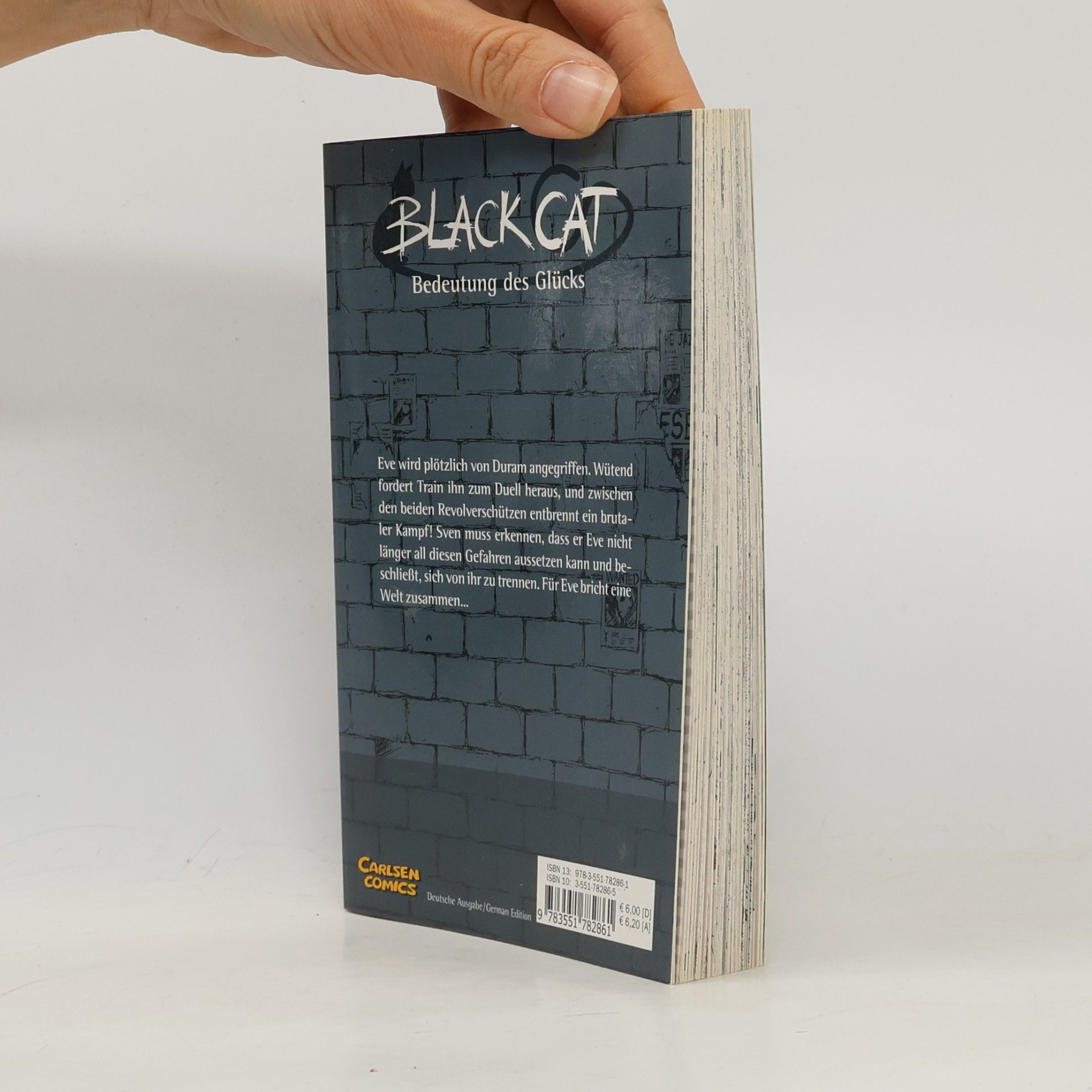 Kentaro Yabuki Black Cat 6