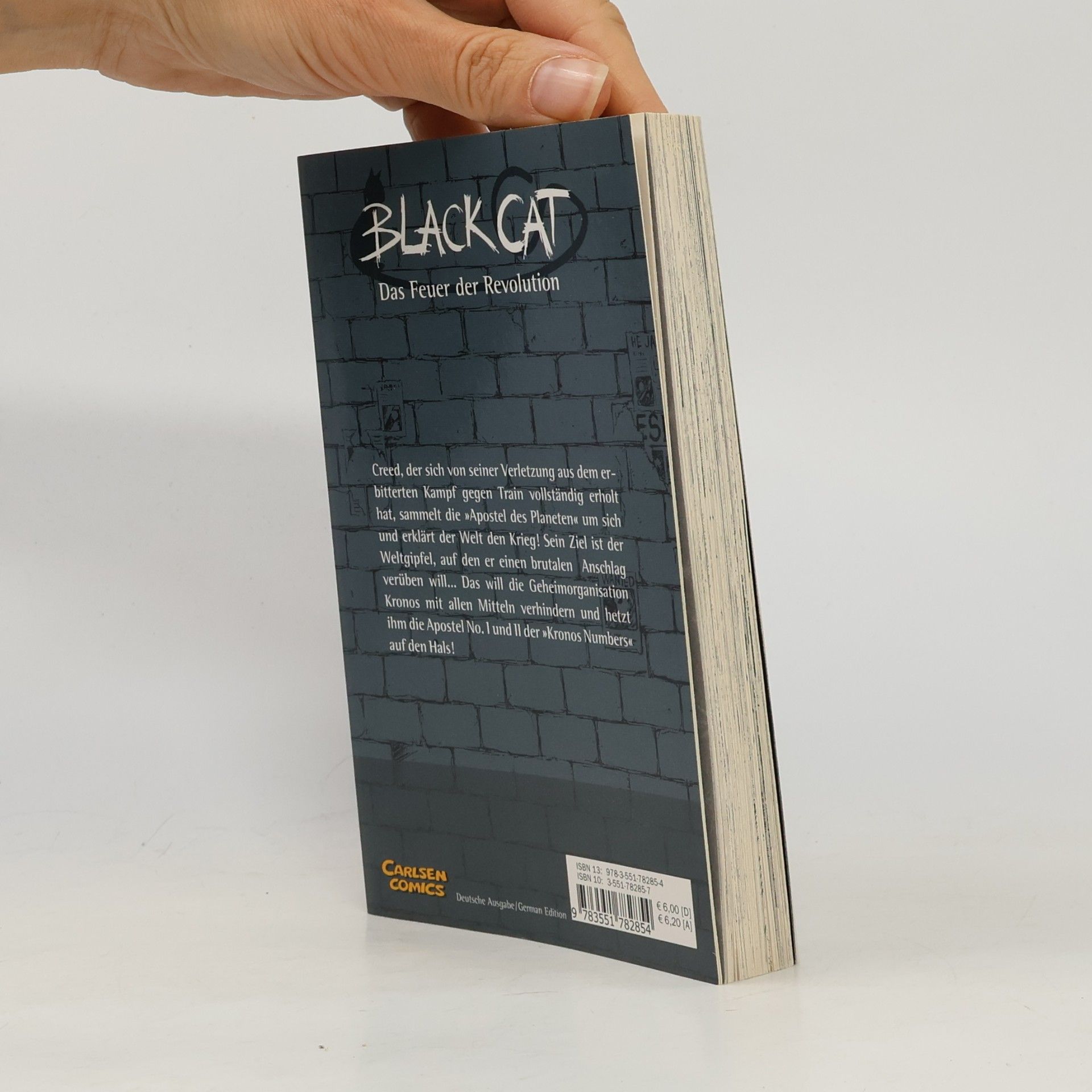 Kentaro Yabuki Black Cat 5