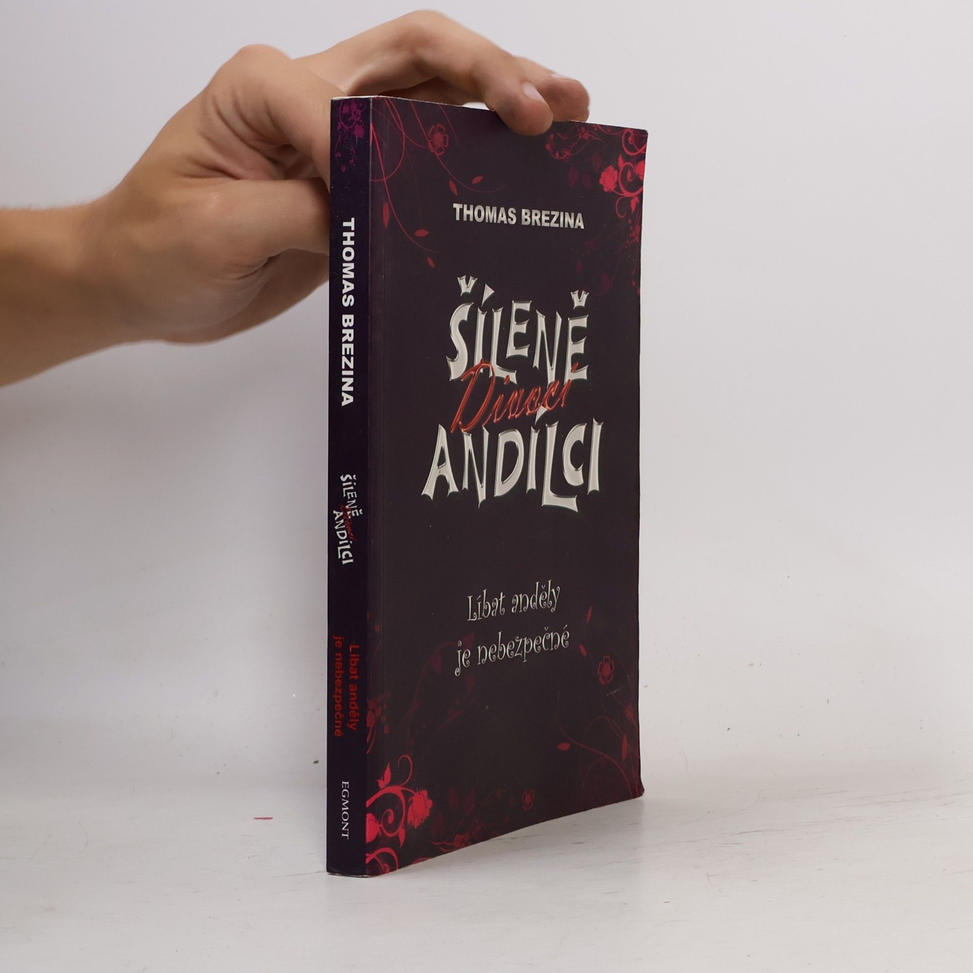Thomas Brezina Šíleně divocí andílci. Líbat anděly je nebezpečné