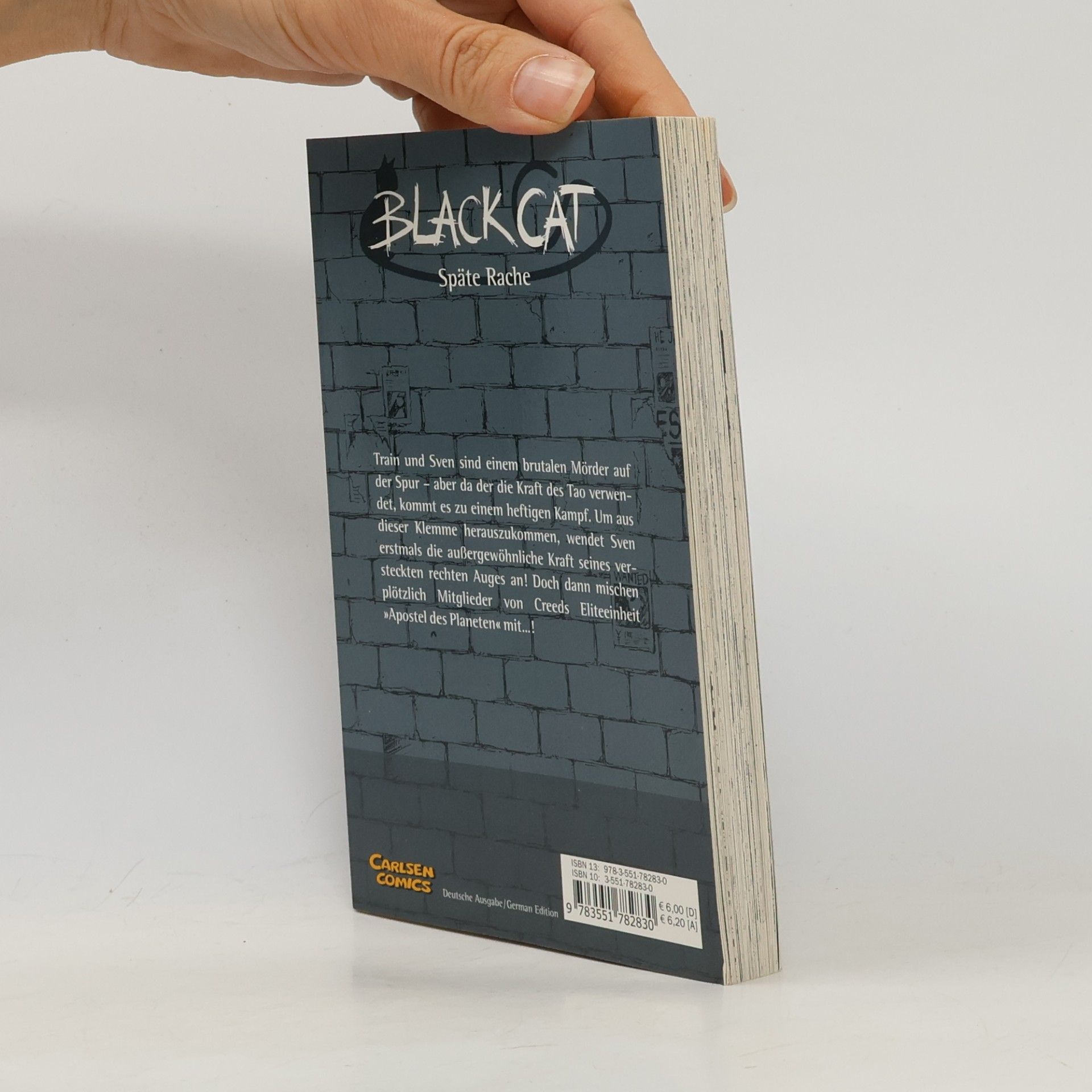 Kentaro Yabuki Black Cat 3