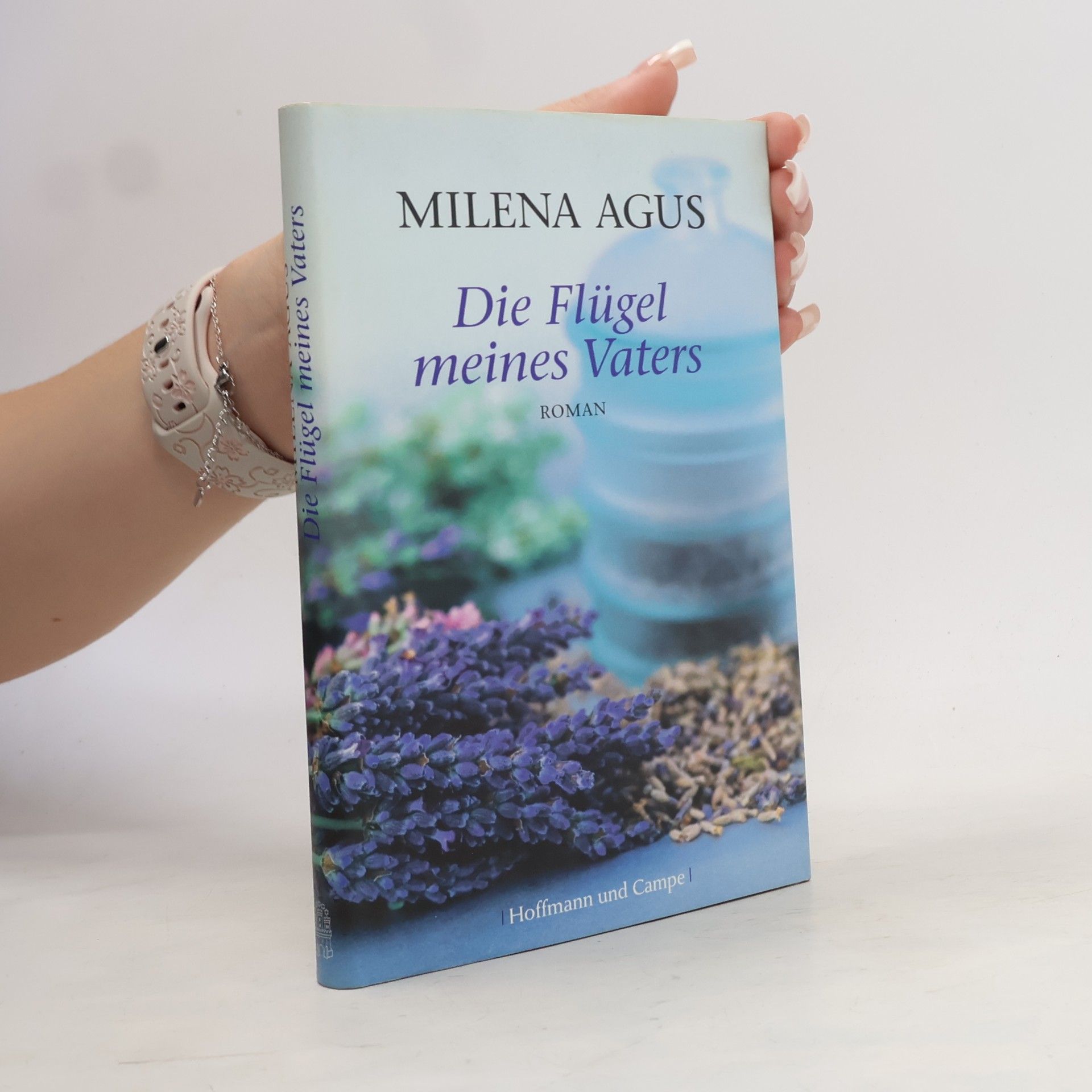 Milena Agus Die Flügel meines Vaters