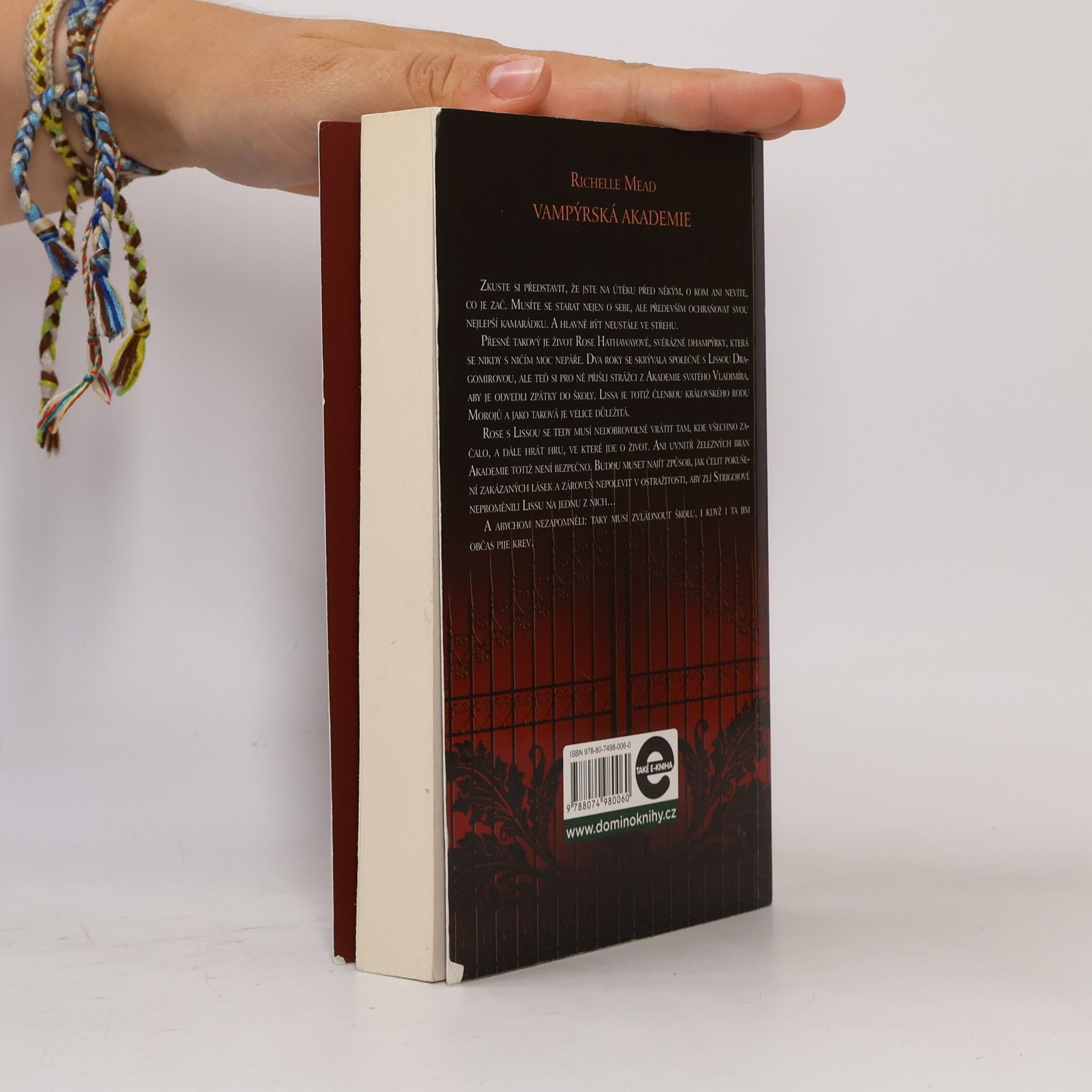 Richelle Mead Vampýrská akademie