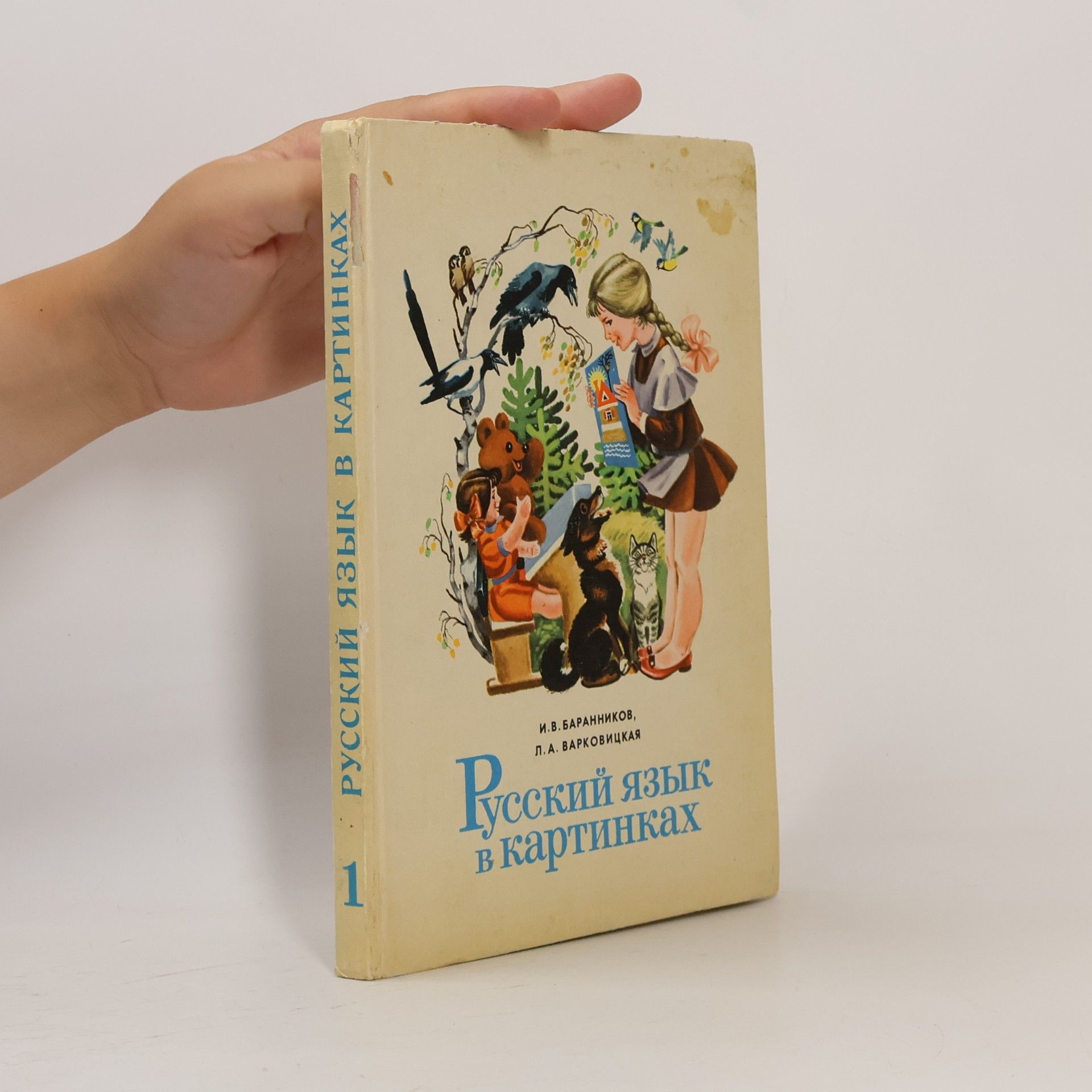 I. V. Barannikov Русский язык в картинках 1