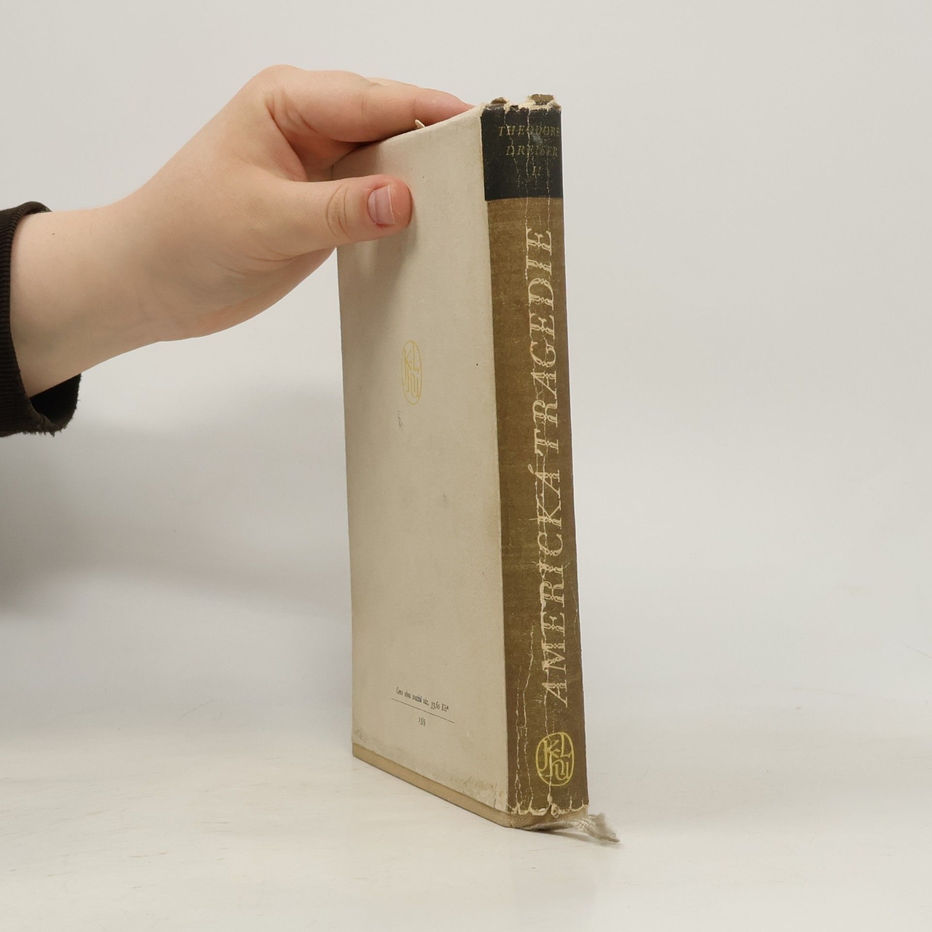 Theodore Dreiser Americká tragedie II
