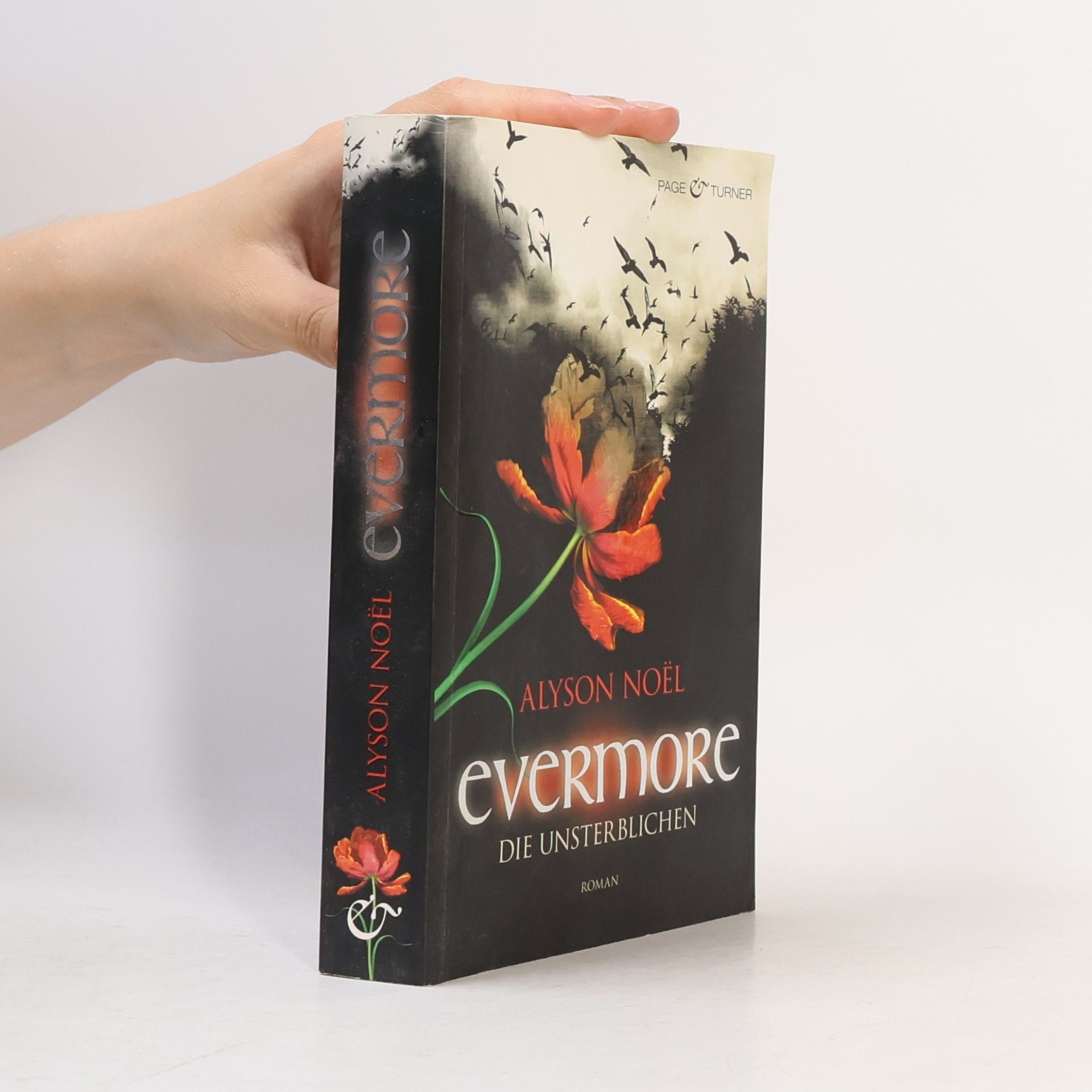 Evermore 1