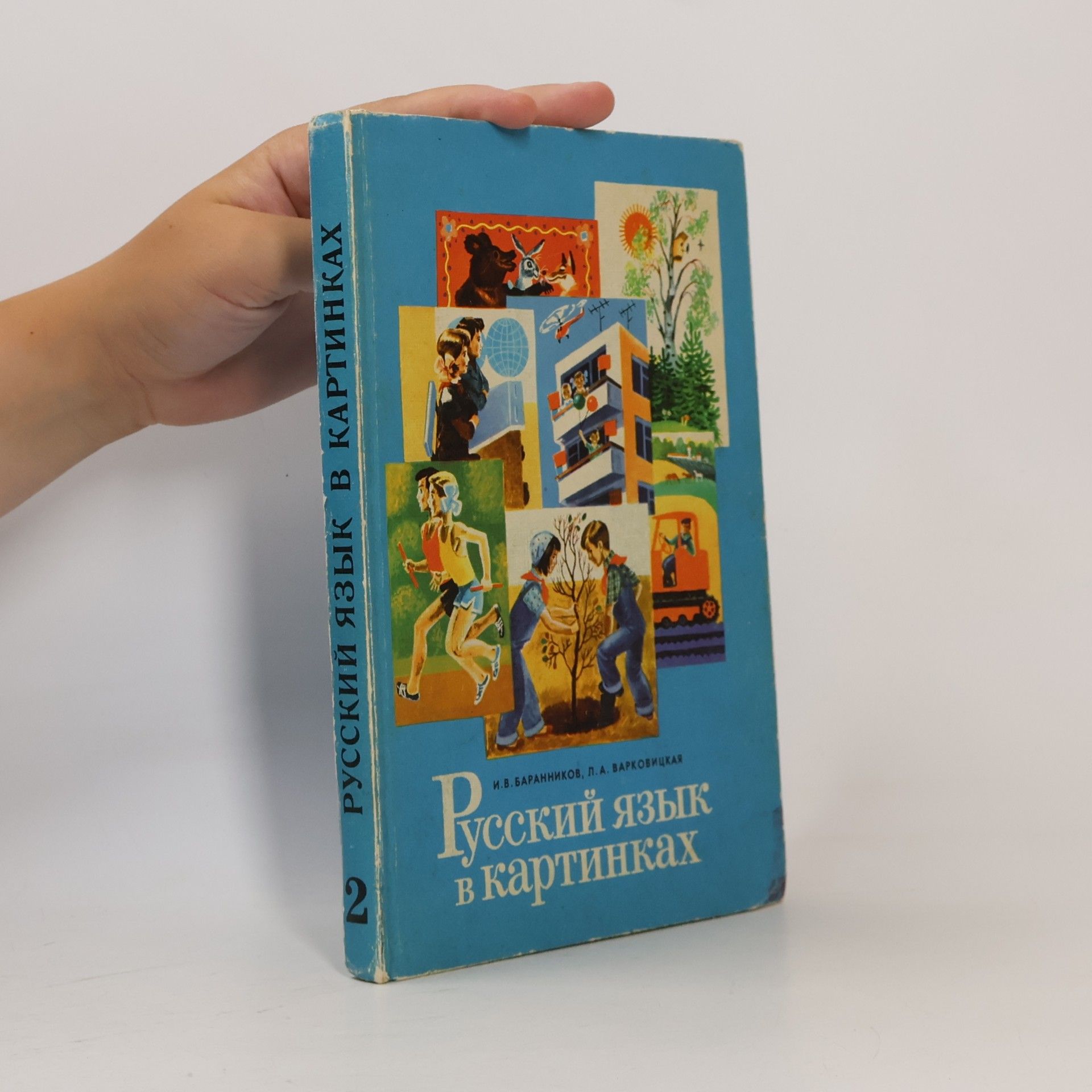 I. V. Barannikov Русский язык в картинках 2