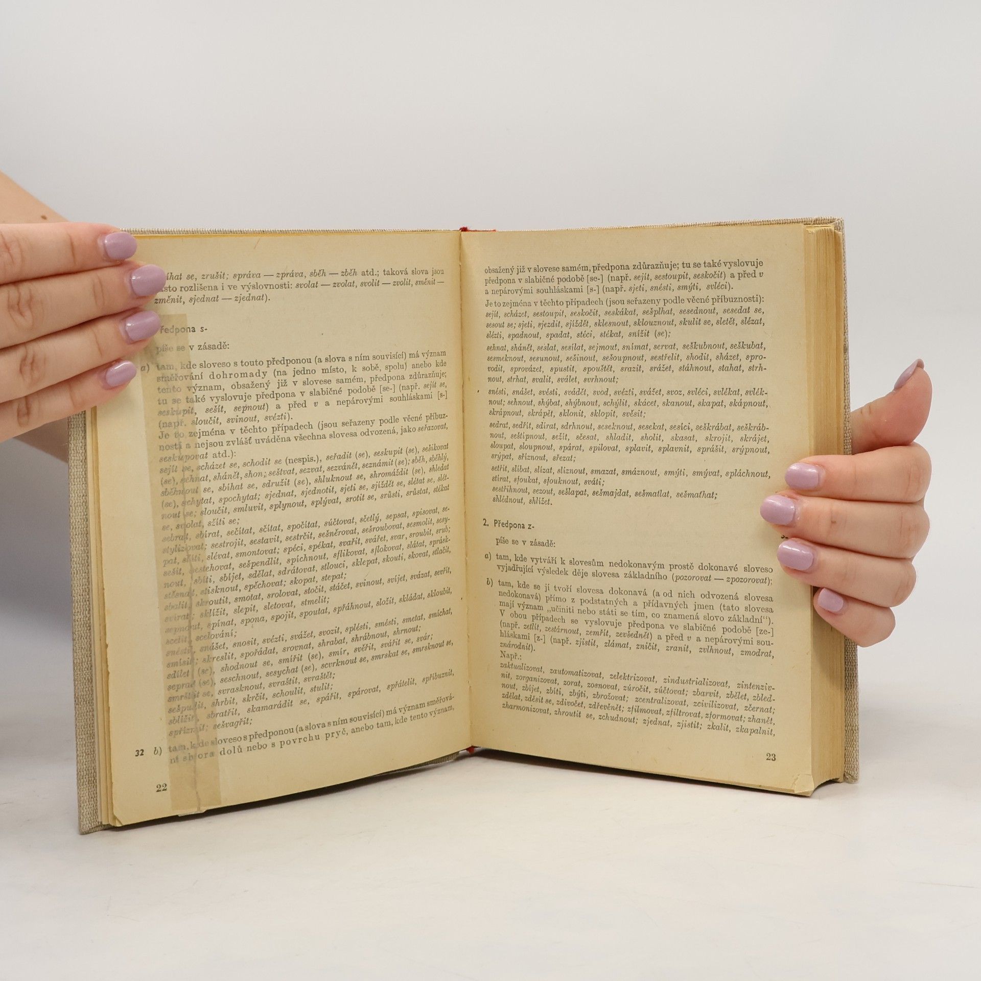 Autores varios Pravidla českého pravopisu