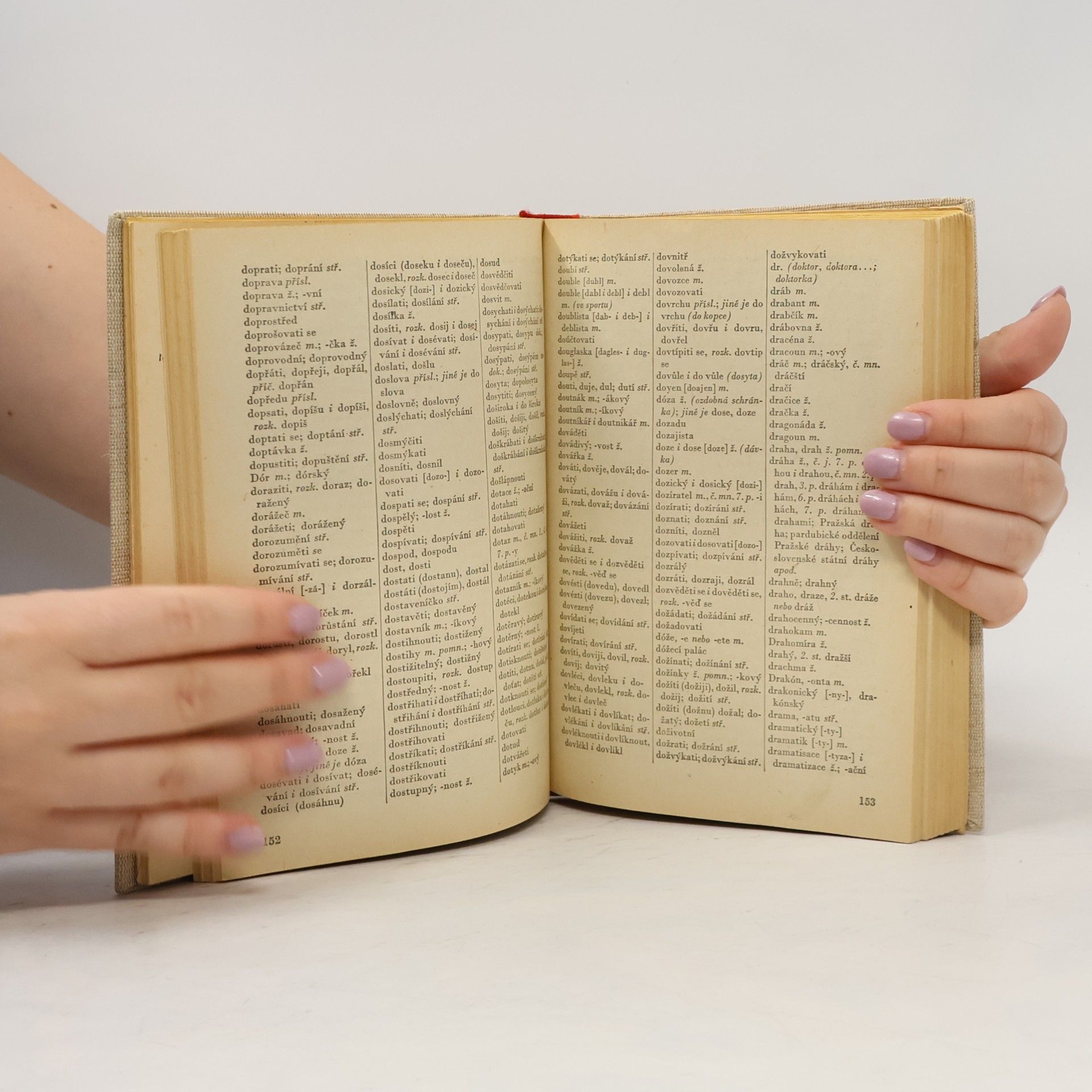 Autores varios Pravidla českého pravopisu