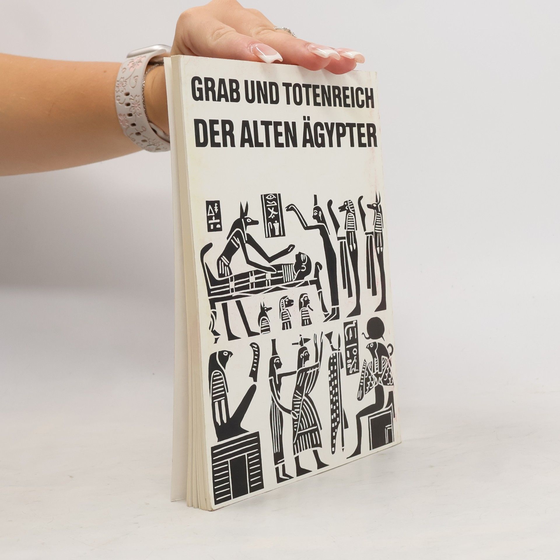 Hartwig Altenmüller Grab und Totenreich der alten Ägypter
