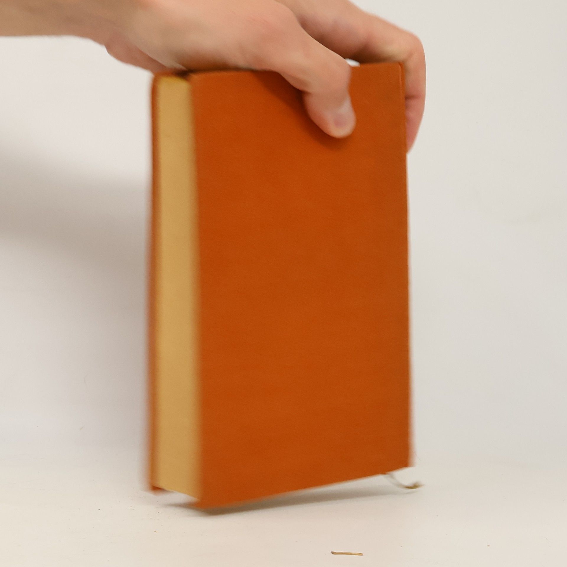 Konrad Beste Das Vergnűgliche Leben Der Doktorin Löhnefink