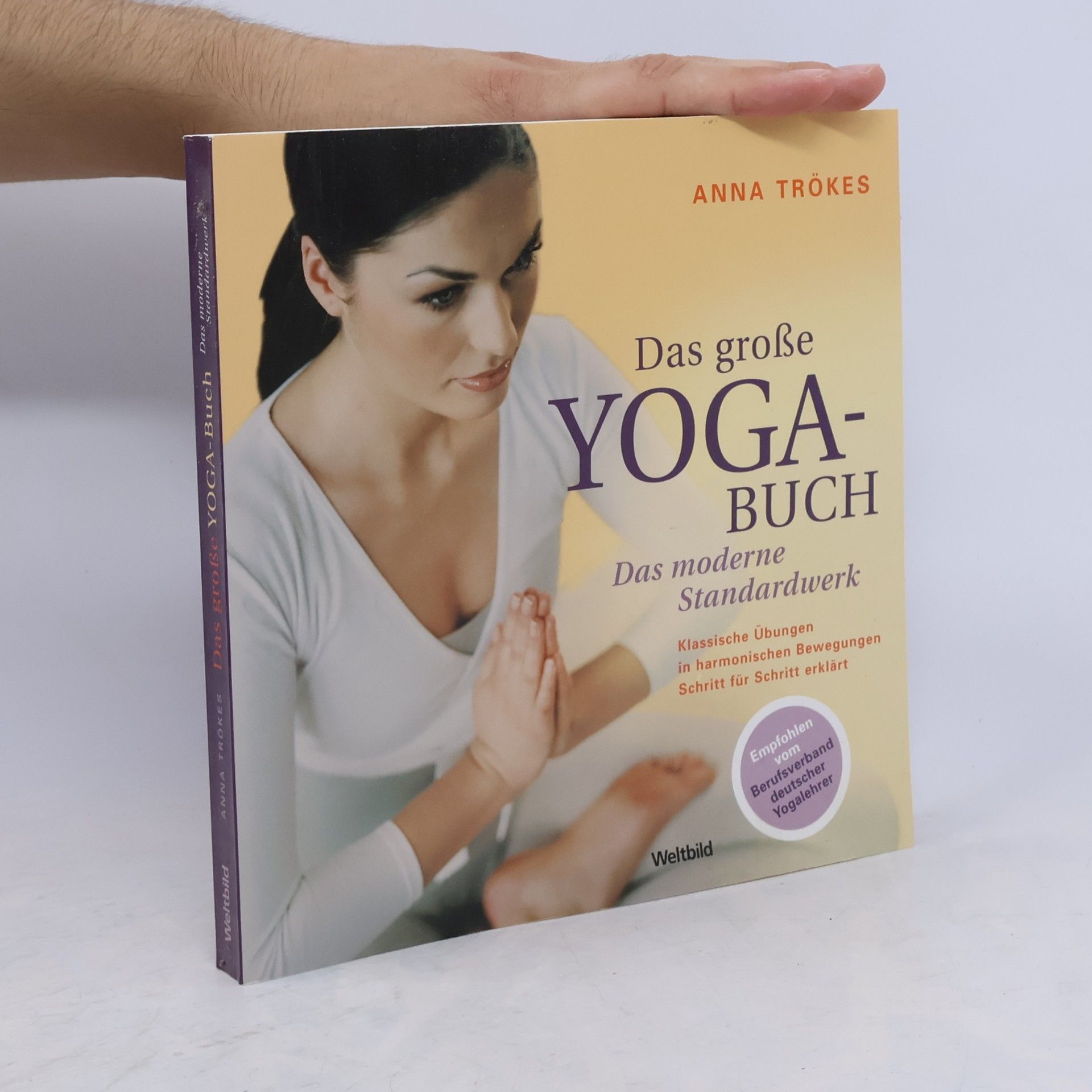 Anna Trökes Das große Yoga-Buch
