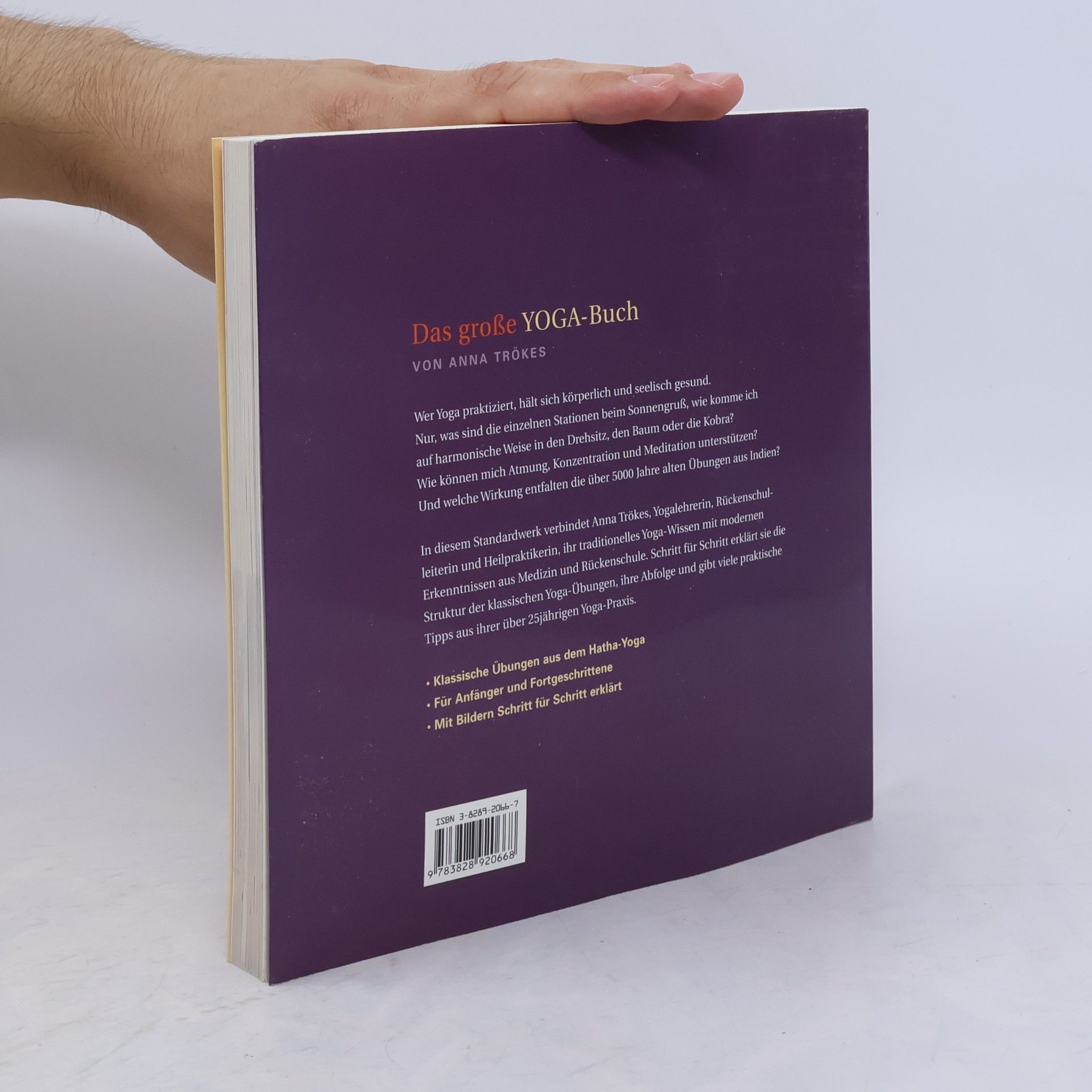 Anna Trökes Das große Yoga-Buch