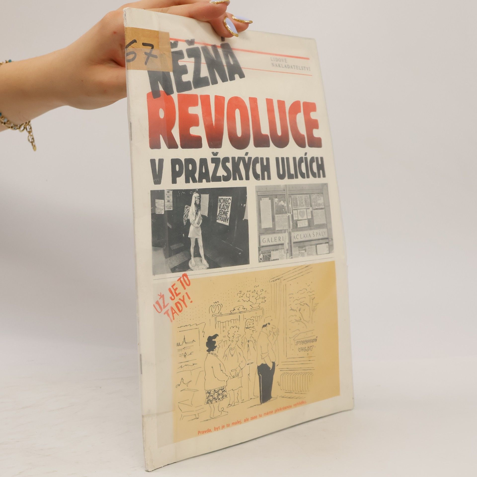 Autorenkollektiv Něžná revoluce v pražských ulicích
