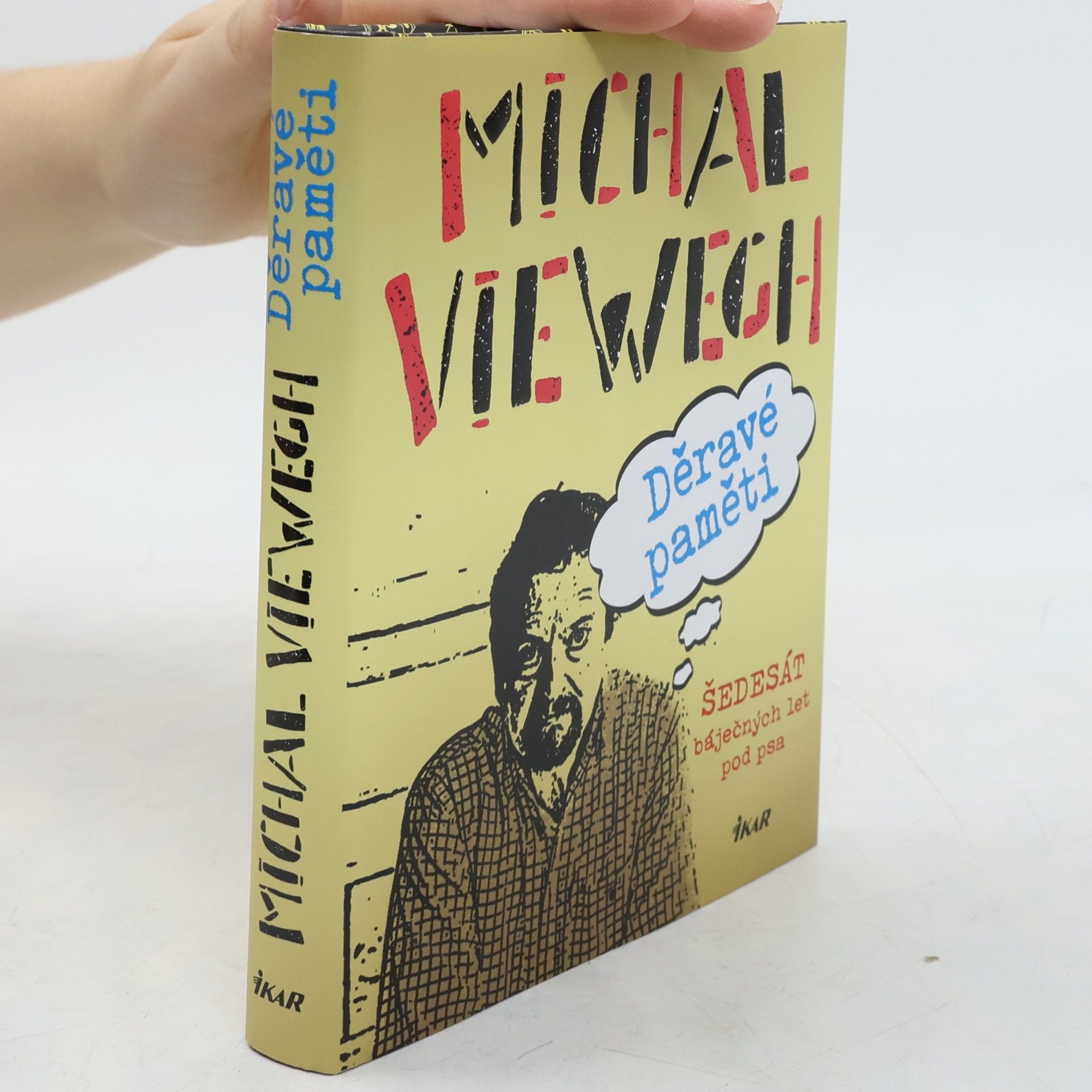 Michal Viewegh Děravé paměti