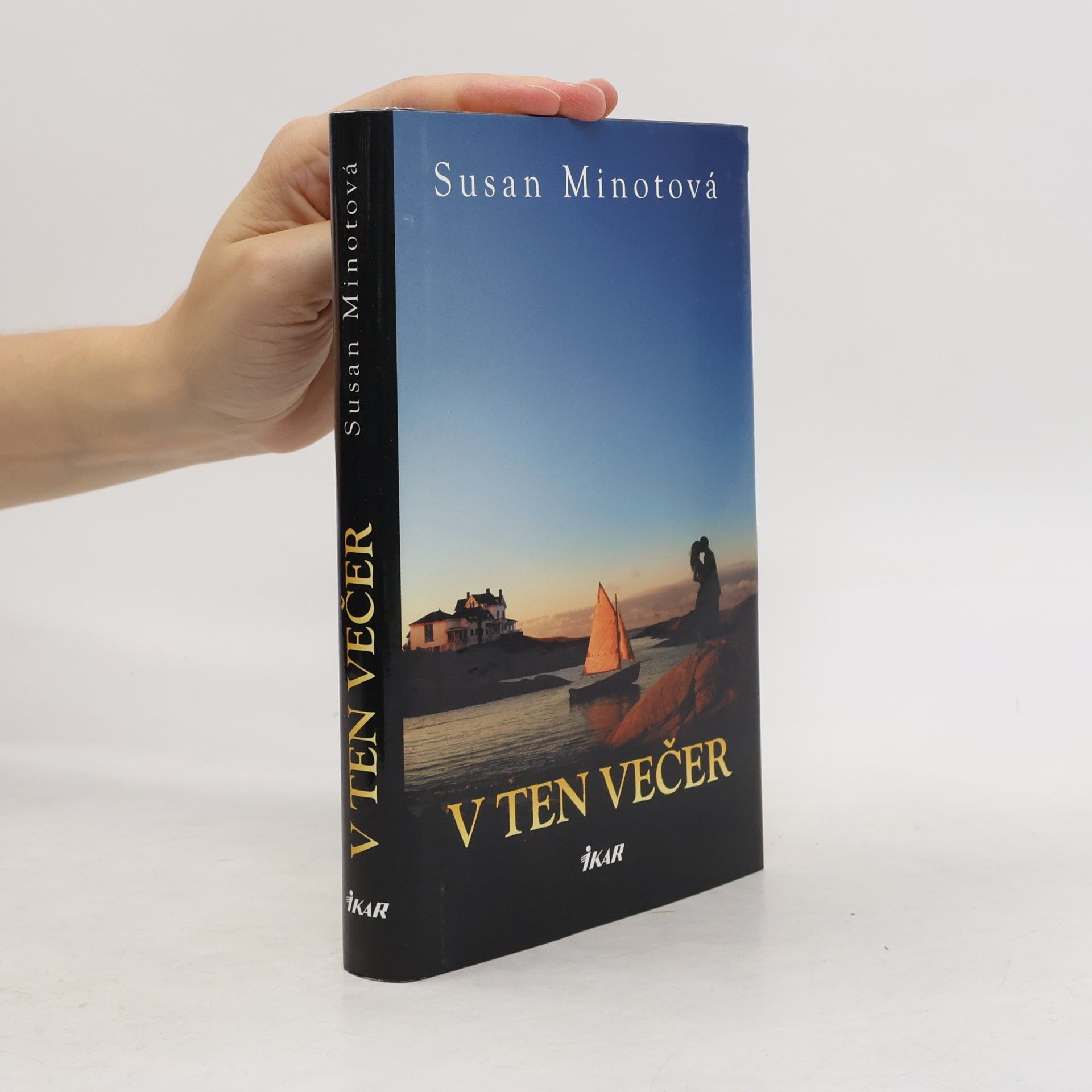 Susan Minot V ten večer