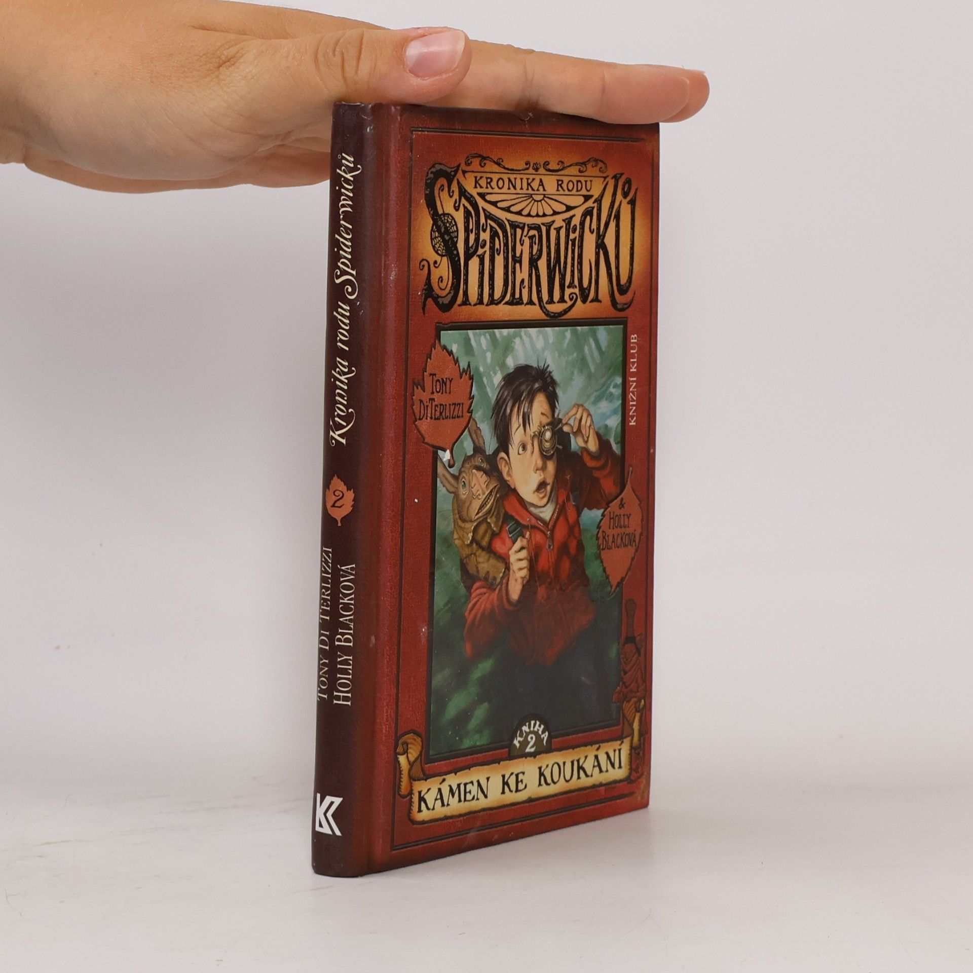 Tony DiTerlizzi Kronika rodu Spiderwicků. Kniha 2, Kámen ke koukání