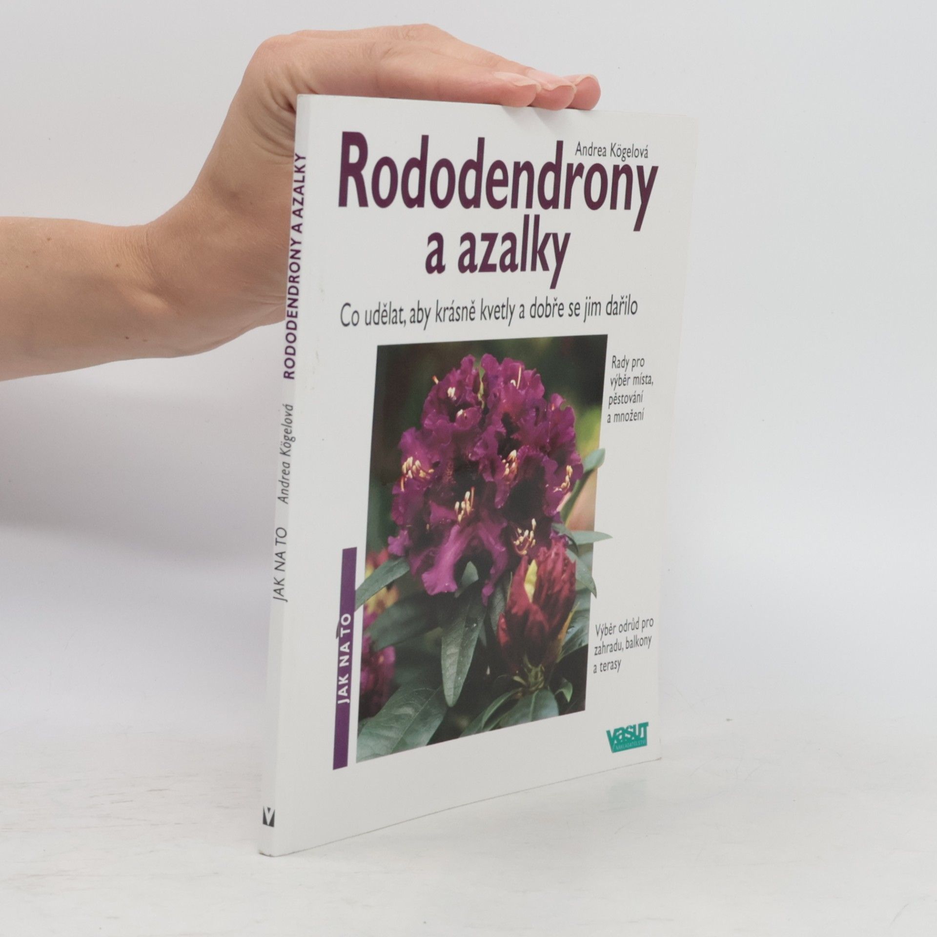 Andrea Kögel Rododendrony a azalky