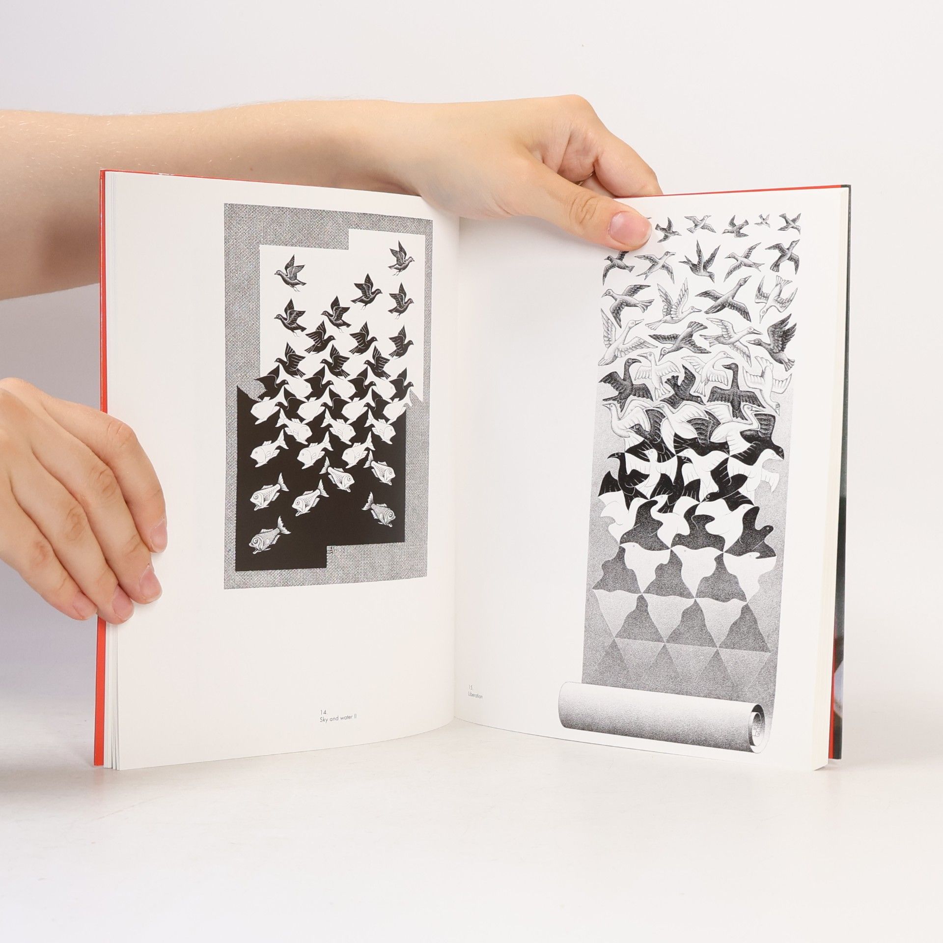 M. C. Escher M. C. Escher: Grafika a kresby