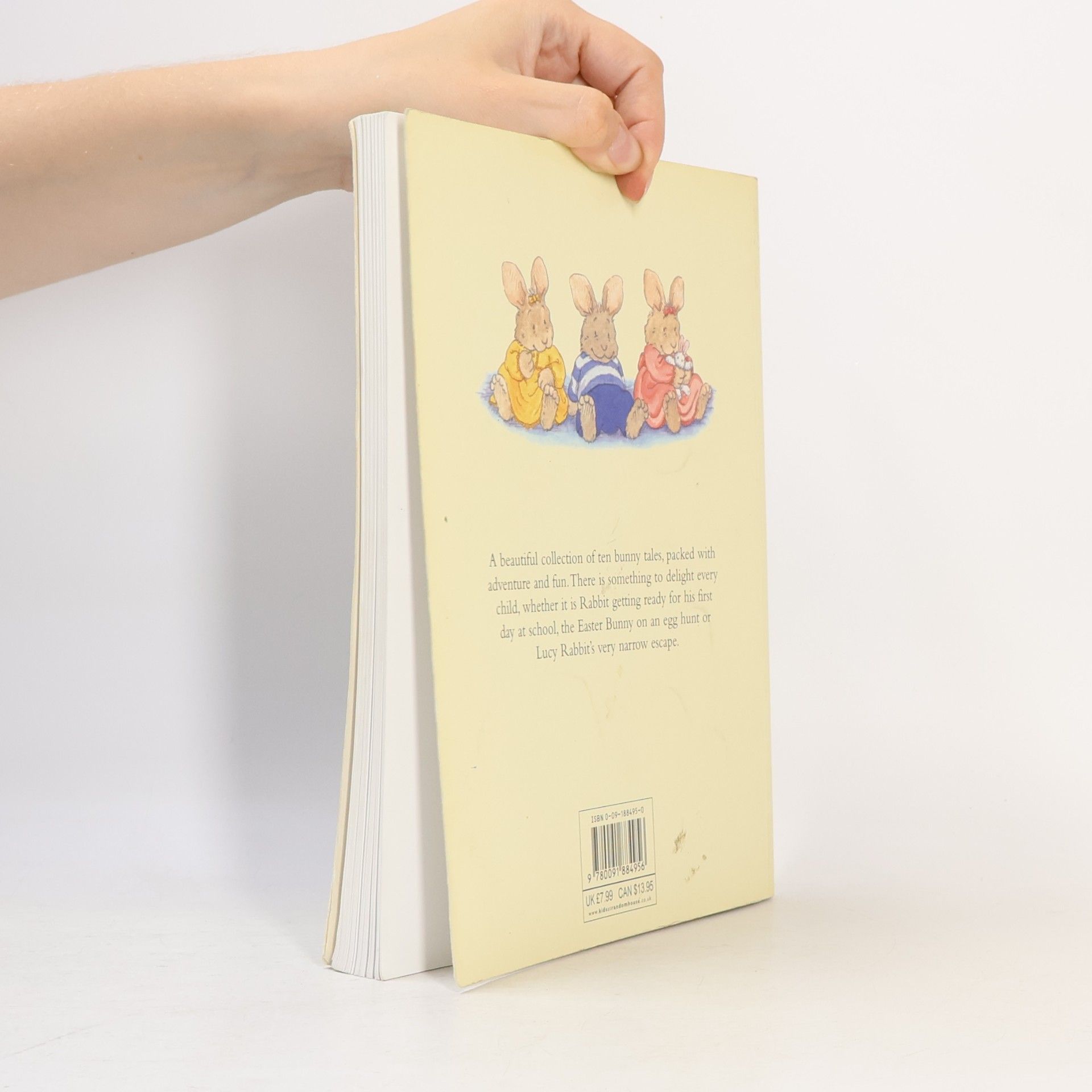The Hutchinson Book of Bunny Tales
