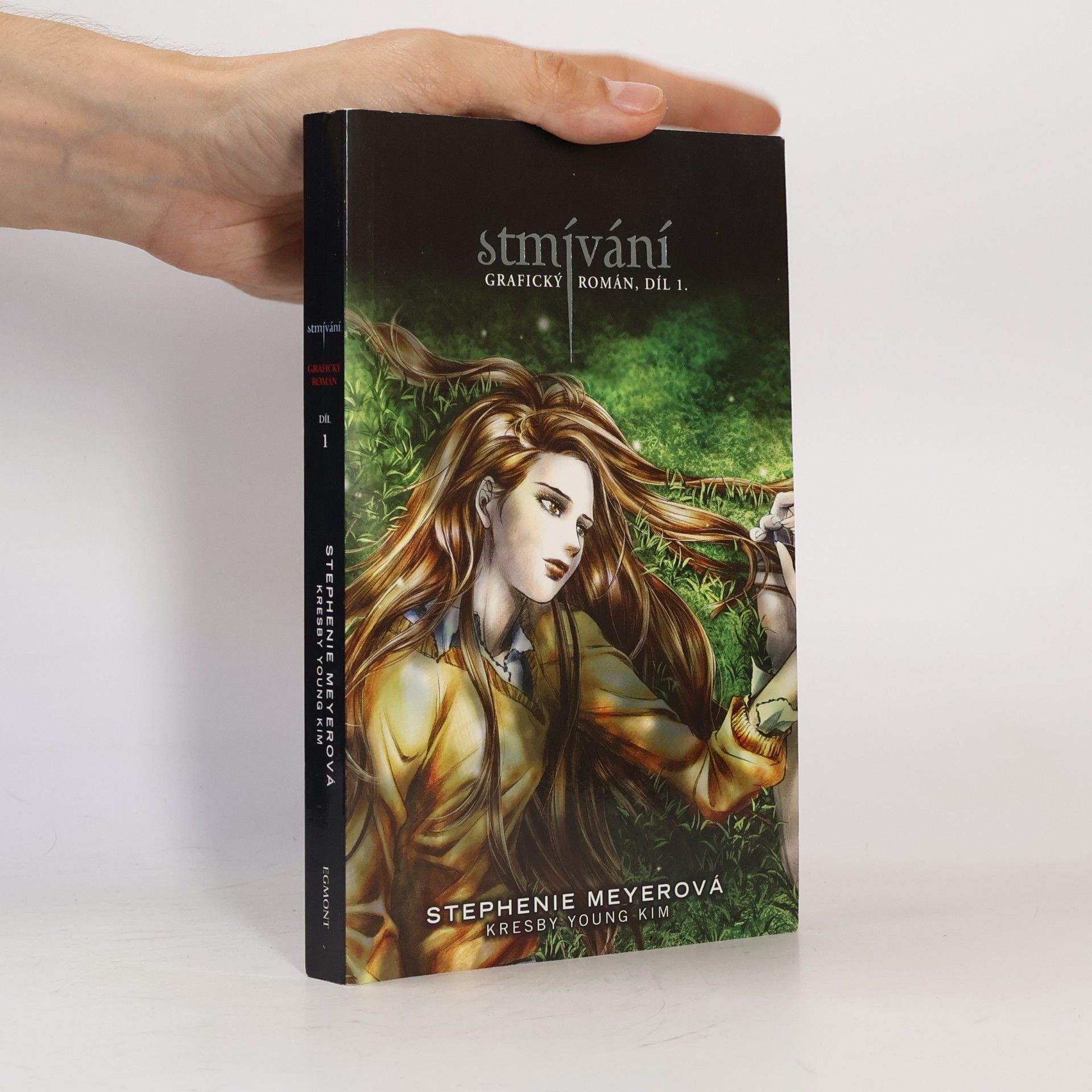 Stephenie Meyer Stmívání: Grafický román