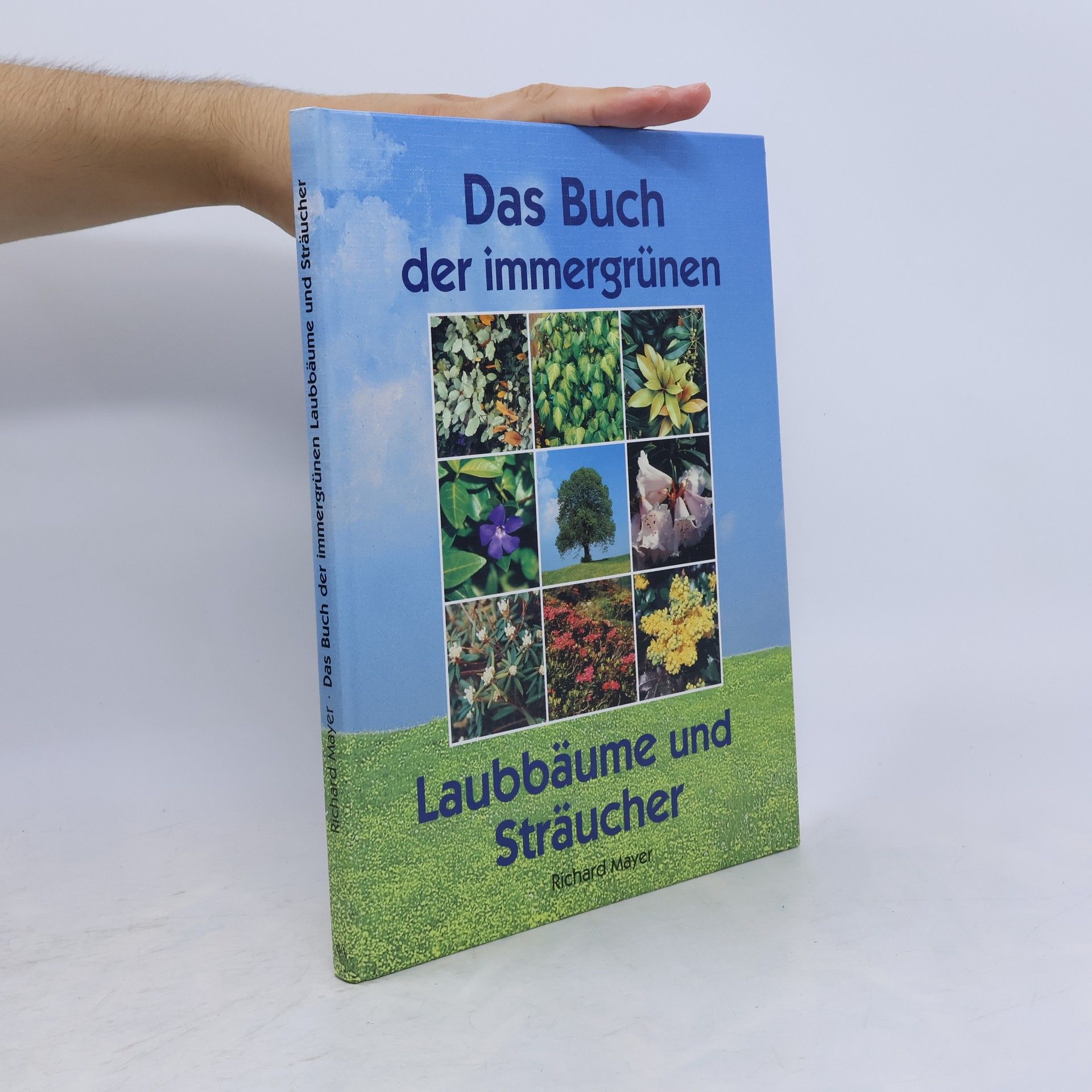 Richard E. Mayer Das Buch der immergrünen Laubbäume und Sträucher