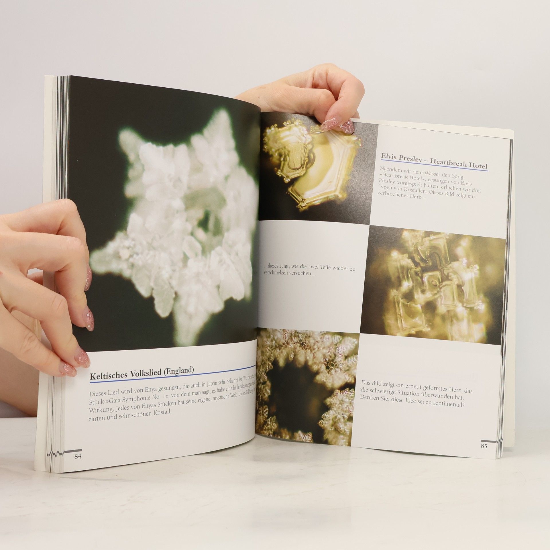 Masaru Emoto Die Botschaft des Wassers