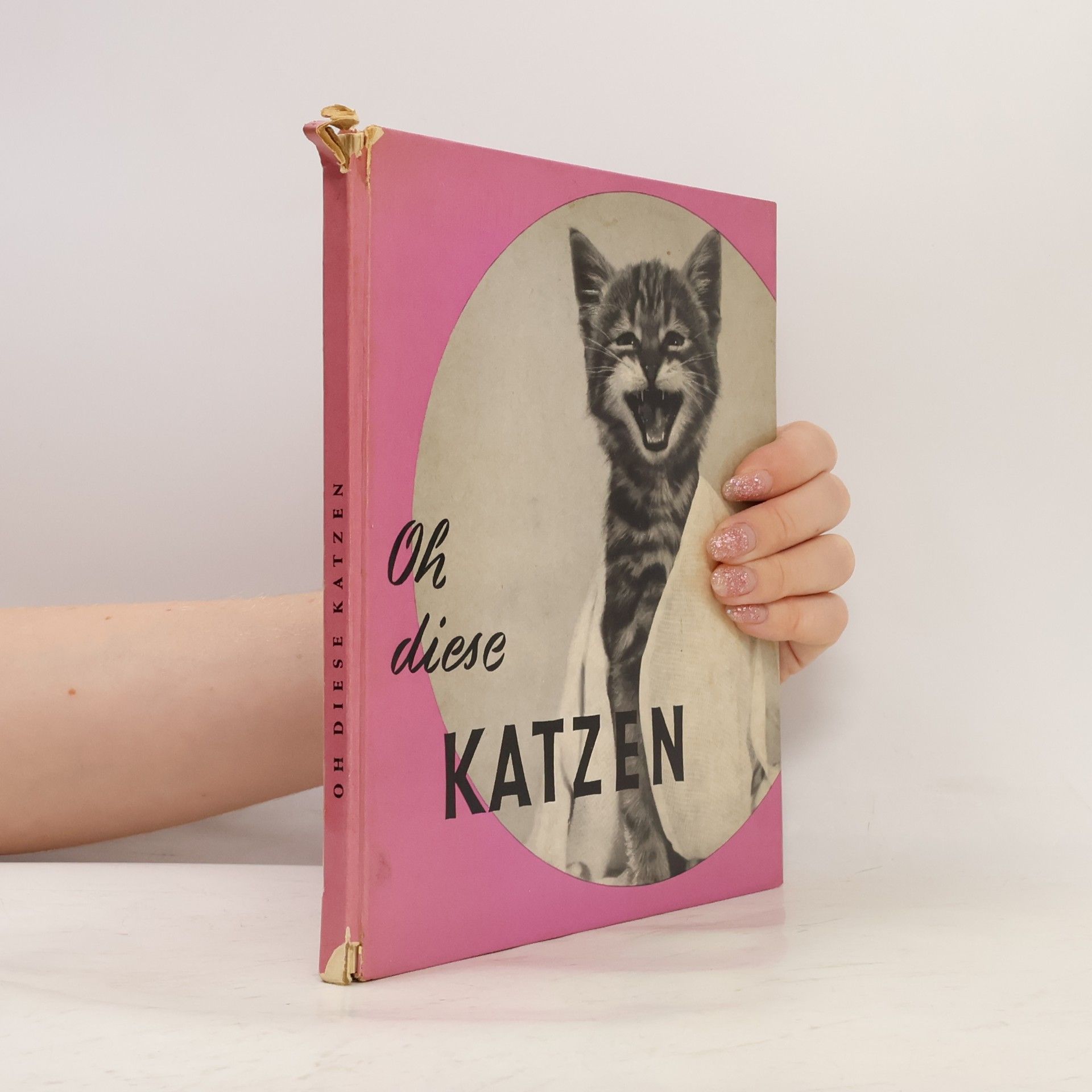 Autorenkollektiv Oh diese Katzen