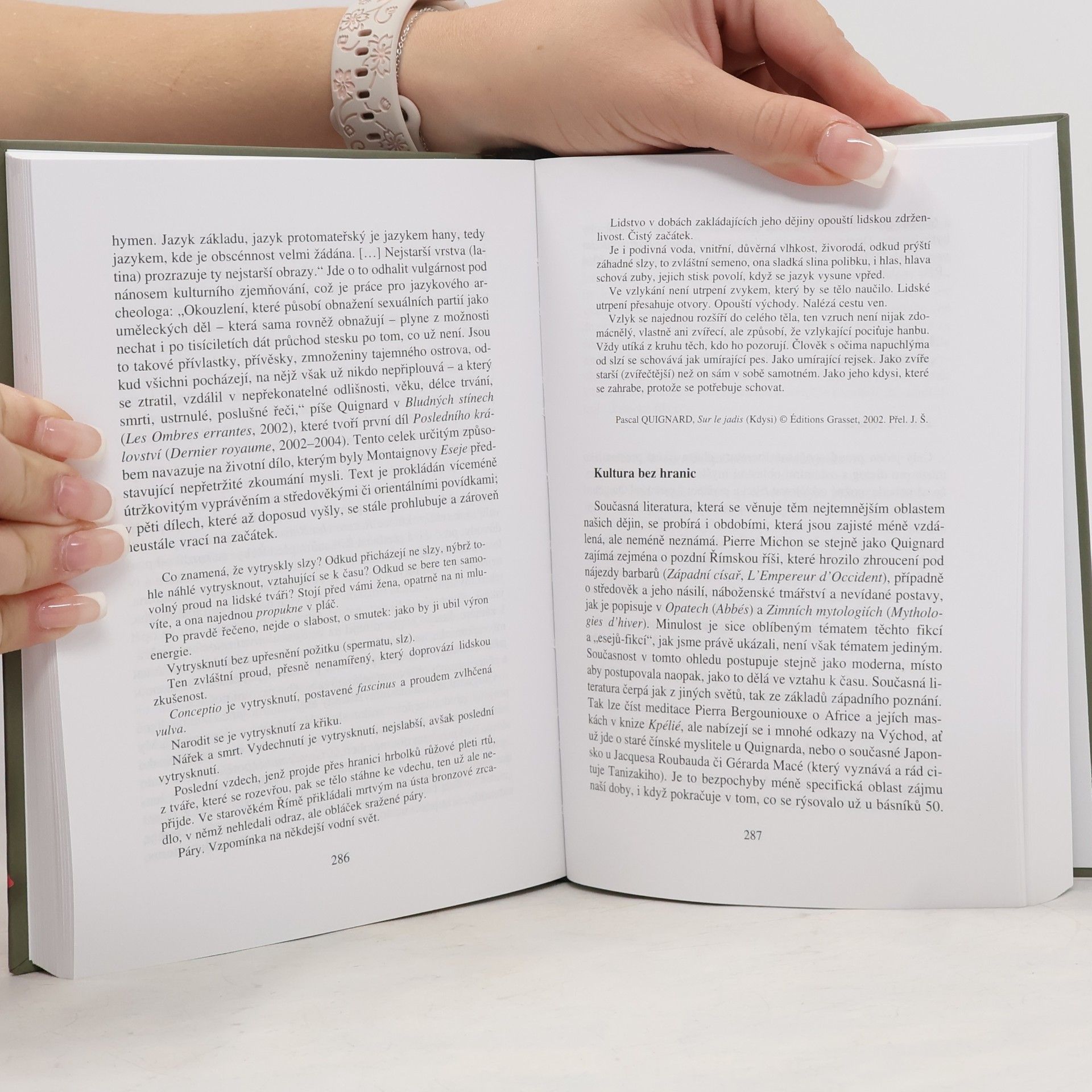 Dominique Viart Současná francouzská literatura