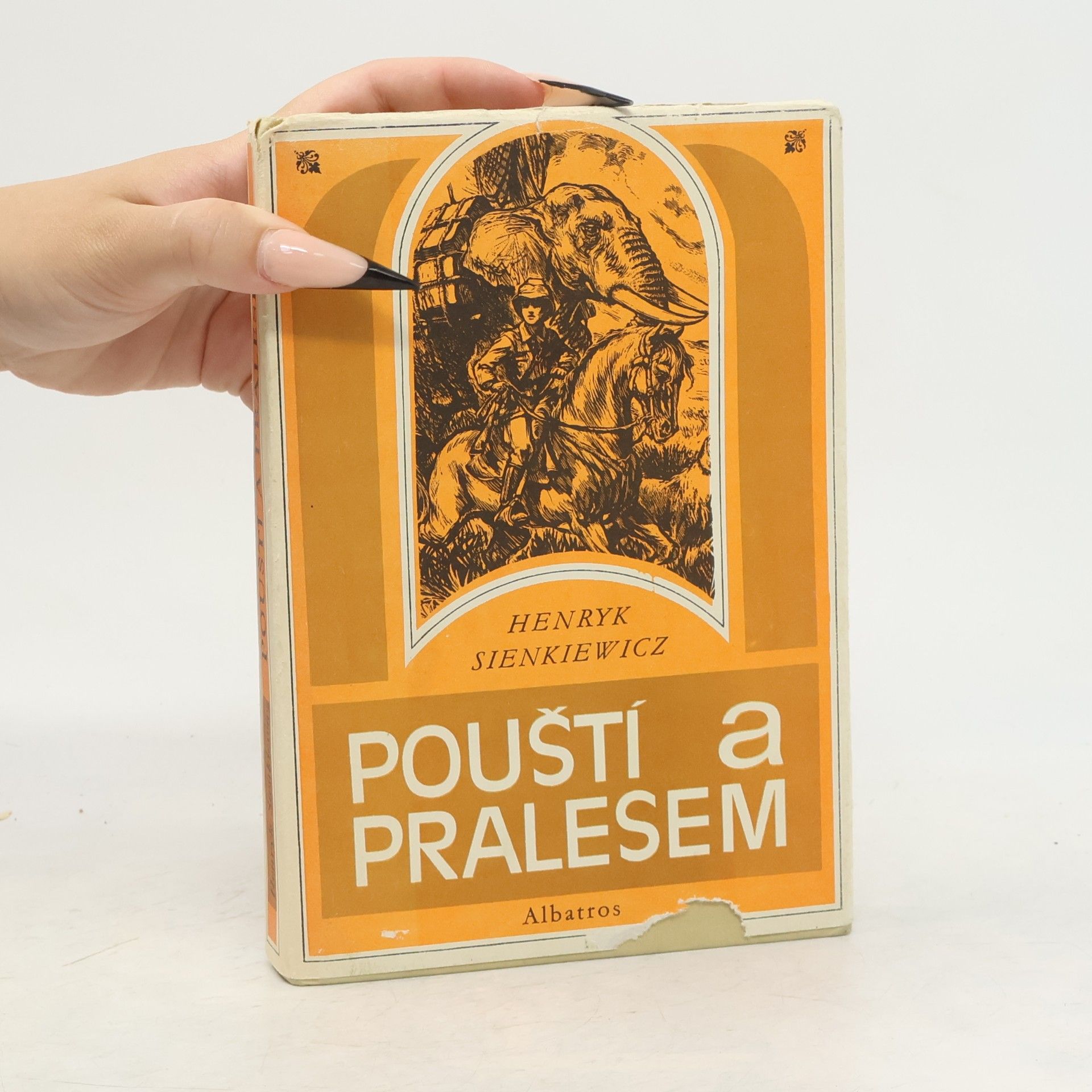 Henryk Sienkiewicz Pouští a pralesem