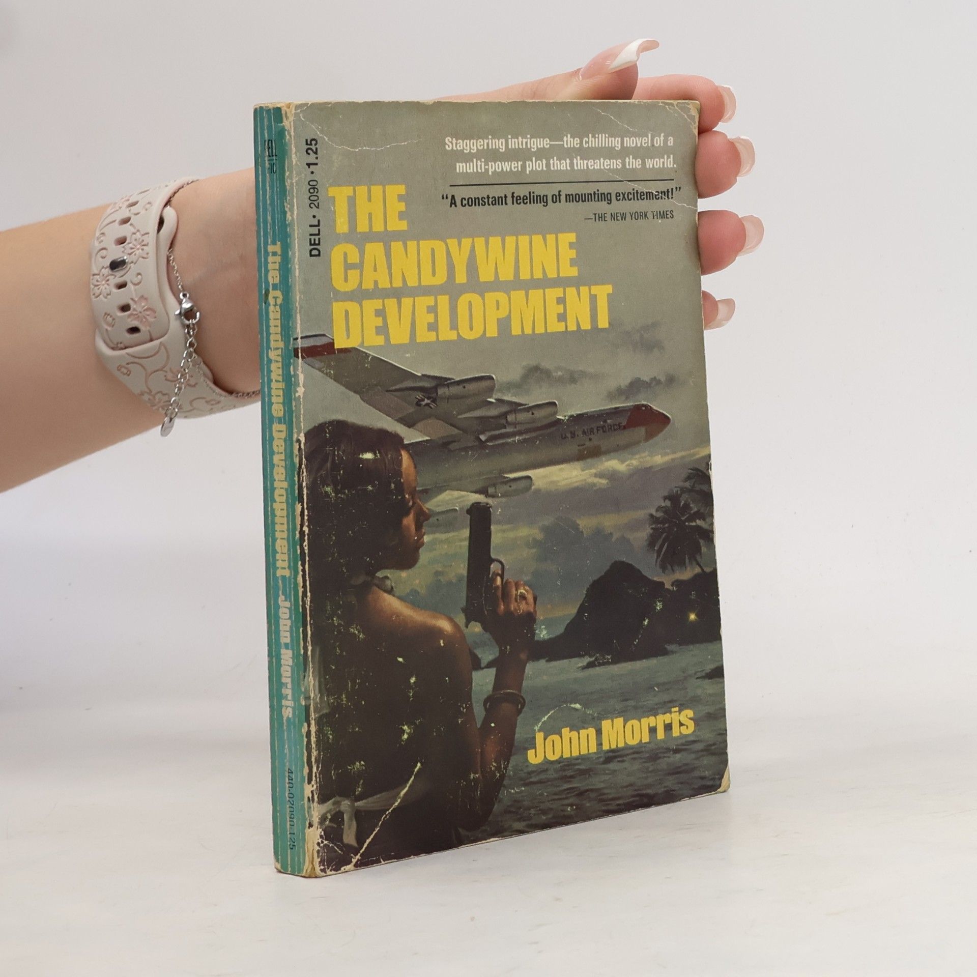 John Morris The Candywine Development