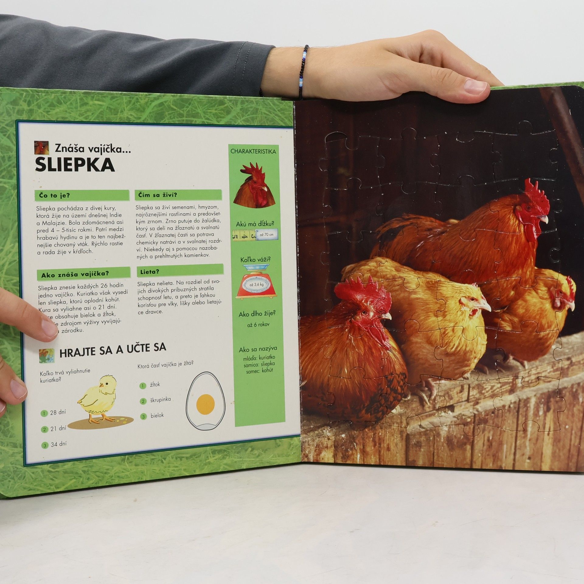 Kolektiv autorů Zvieratká na farme
