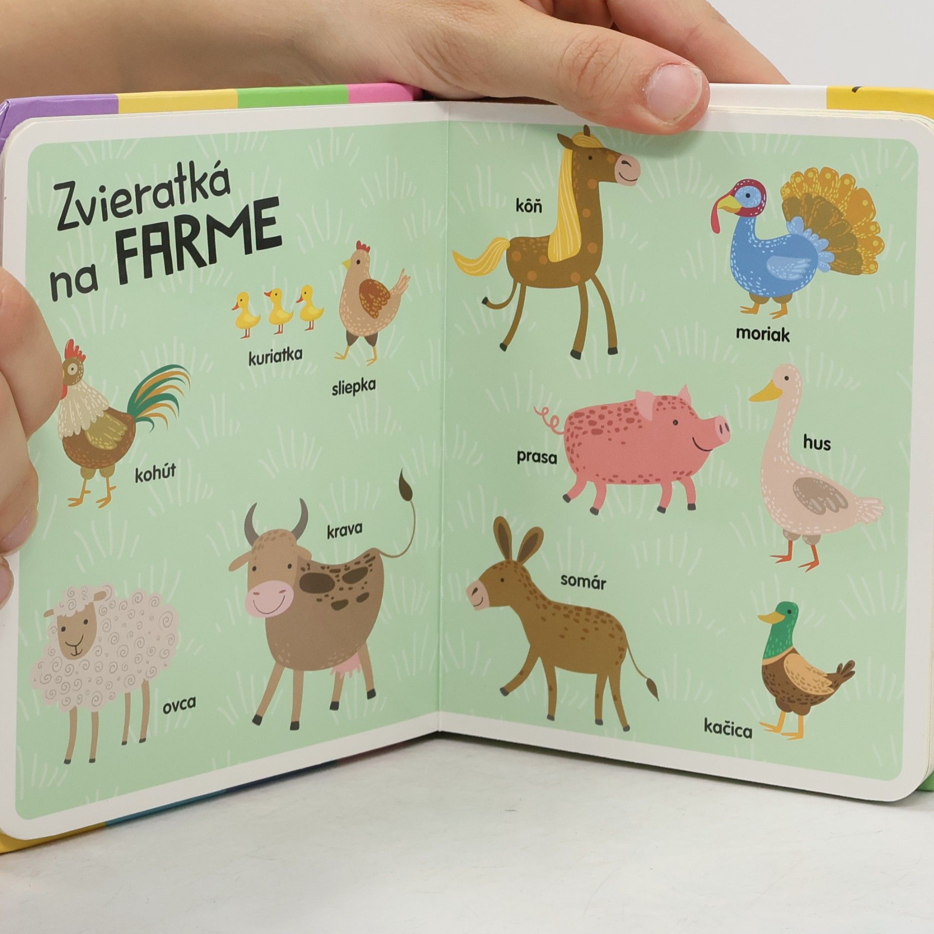 Various authors Môj prvý obrázkový slovníček. Zvieratká