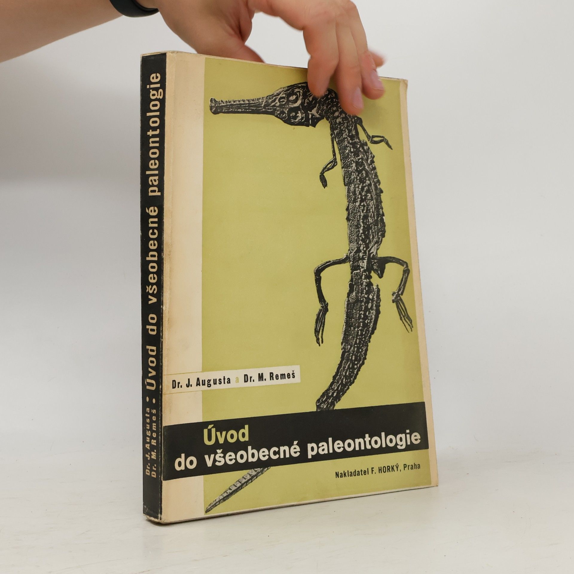 Mořic Remeš Úvod do všeobecné paleontologie