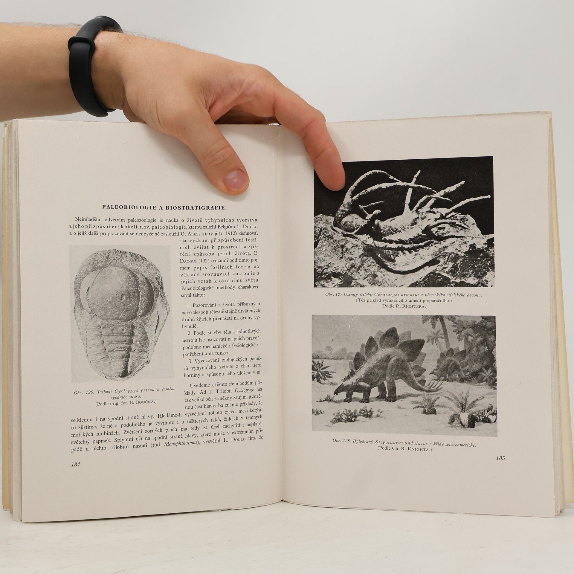 Josef Augusta Úvod do všeobecné paleontologie