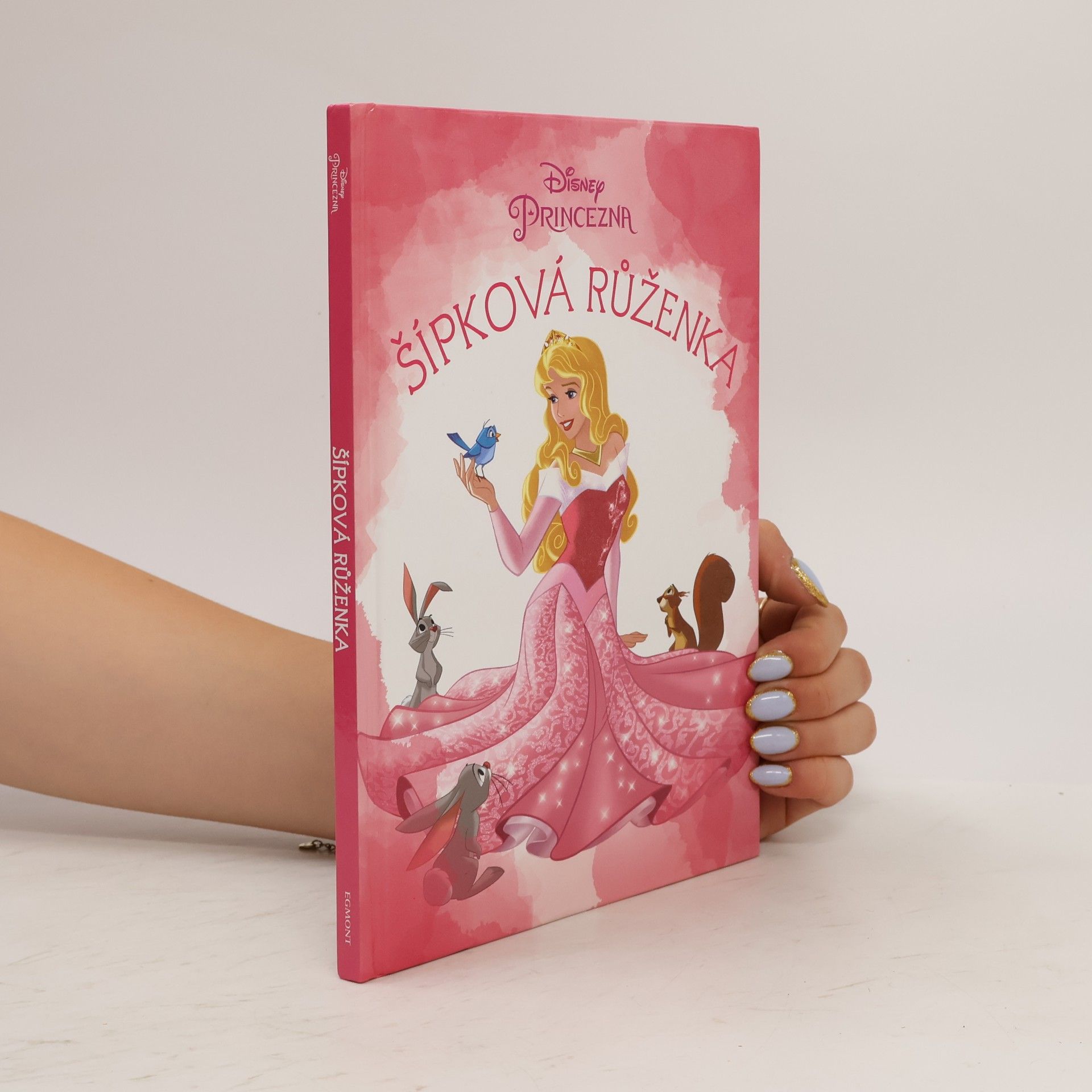 Disney Storybook Artists Šípková Růženka