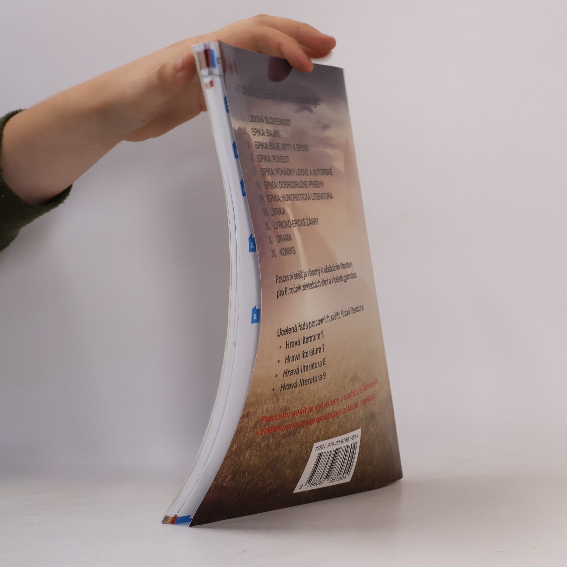 Autorenkollektiv Hravá literatura 6 - pracovní sešit