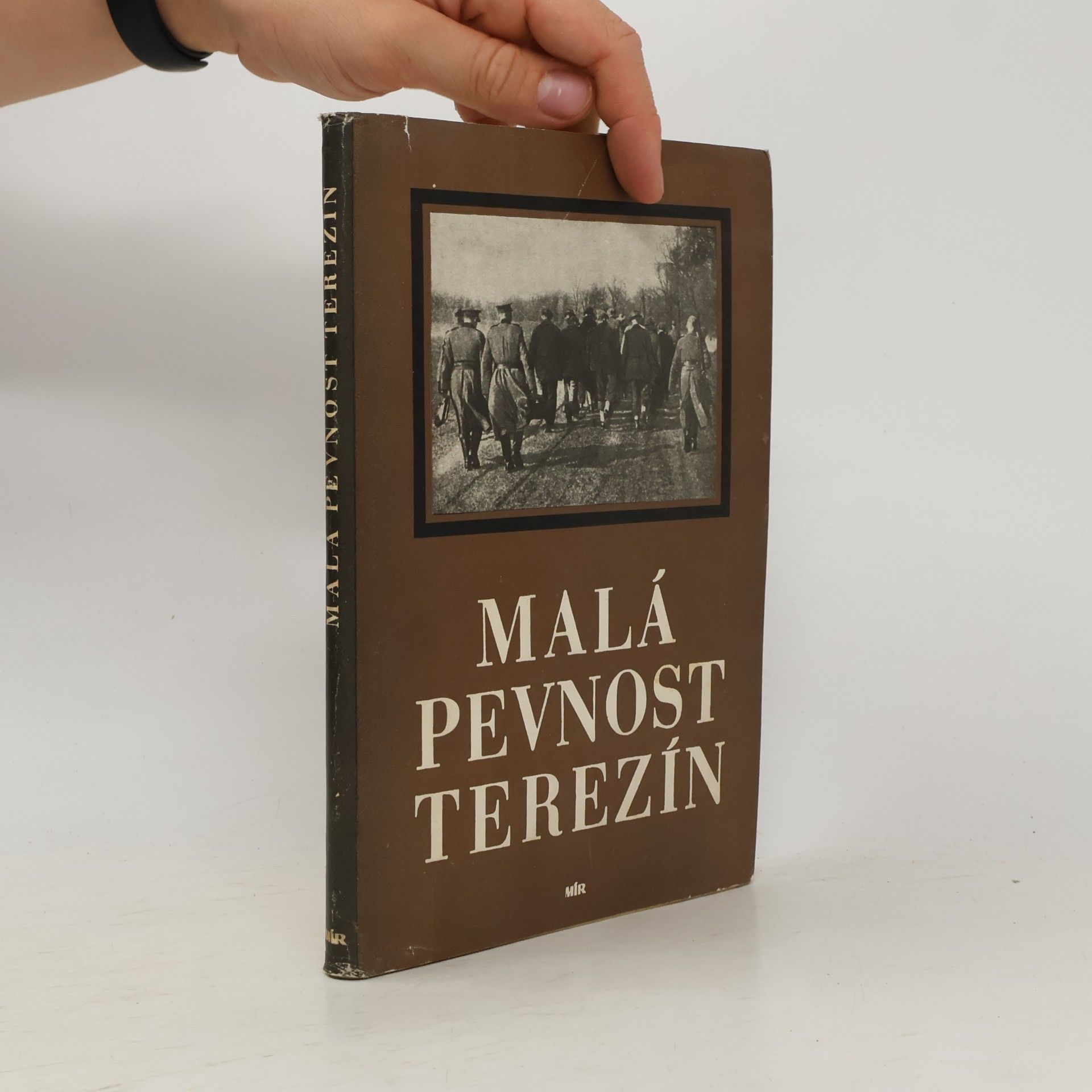 Kolektiv autorů Malá pevnost Terezín