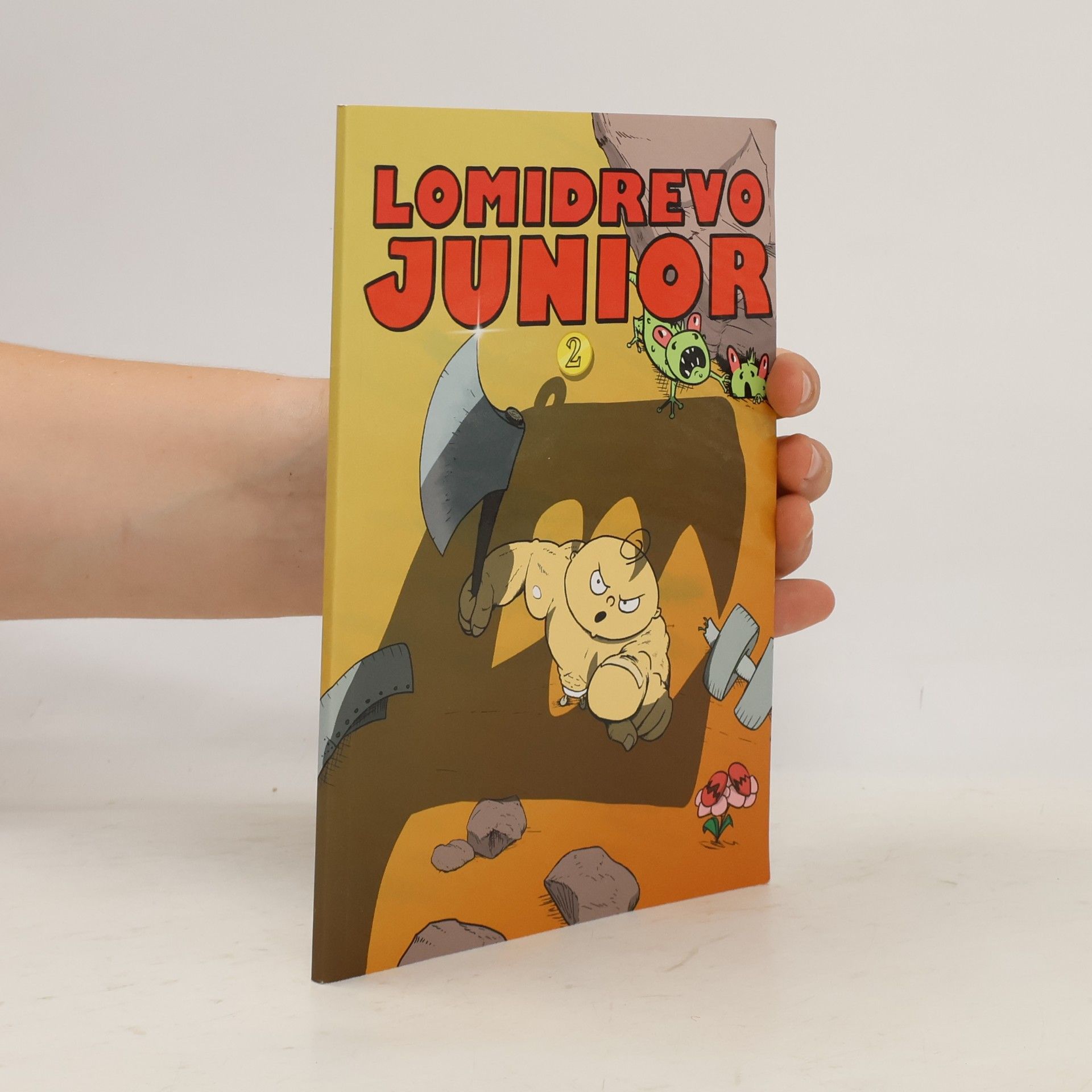 Matúš Teplický Lomidrevo Junior 2