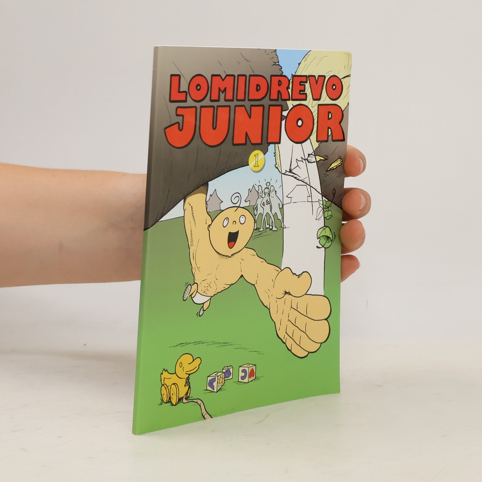 Matúš Teplický Lomidrevo Junior 1