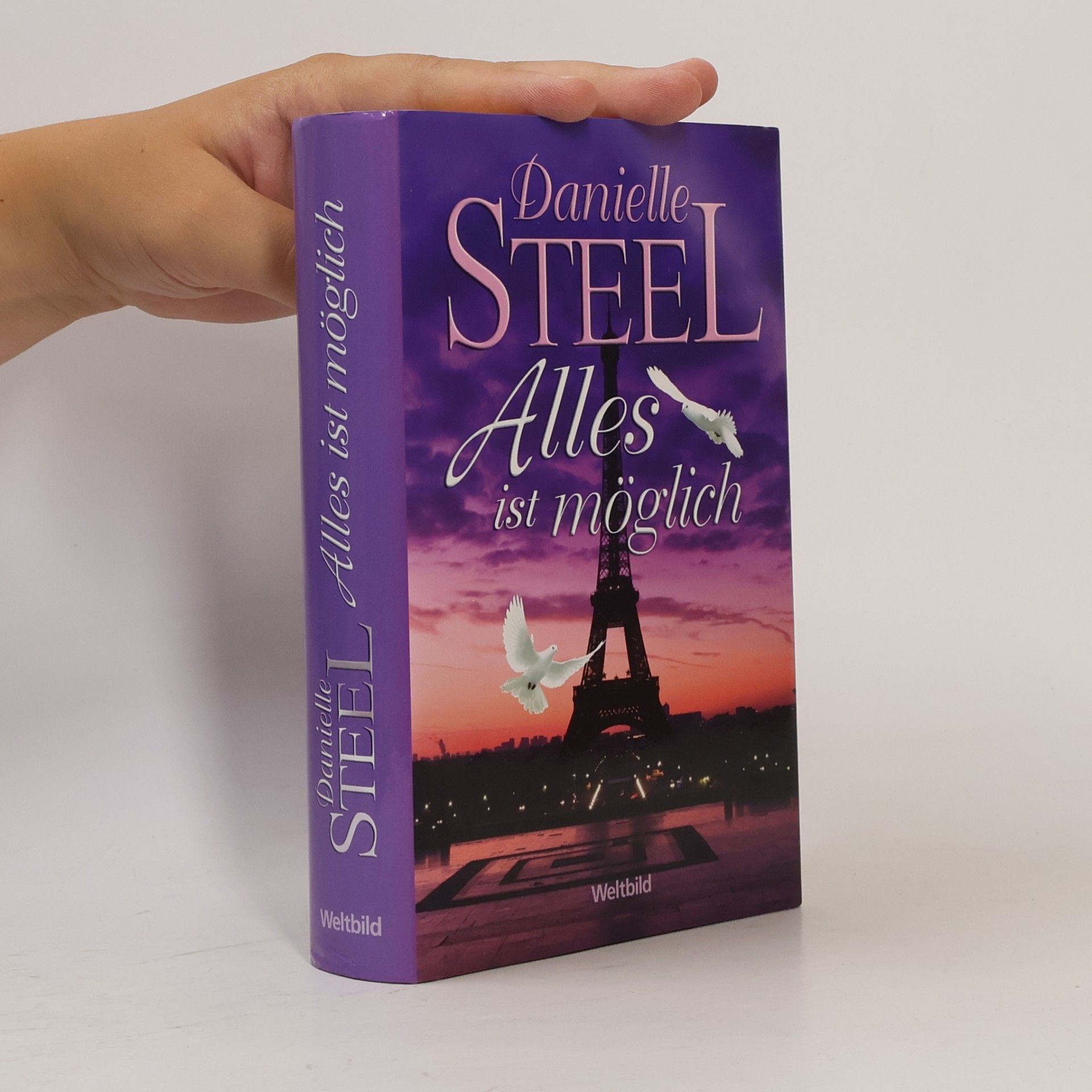 Danielle Steel Alles ist möglich