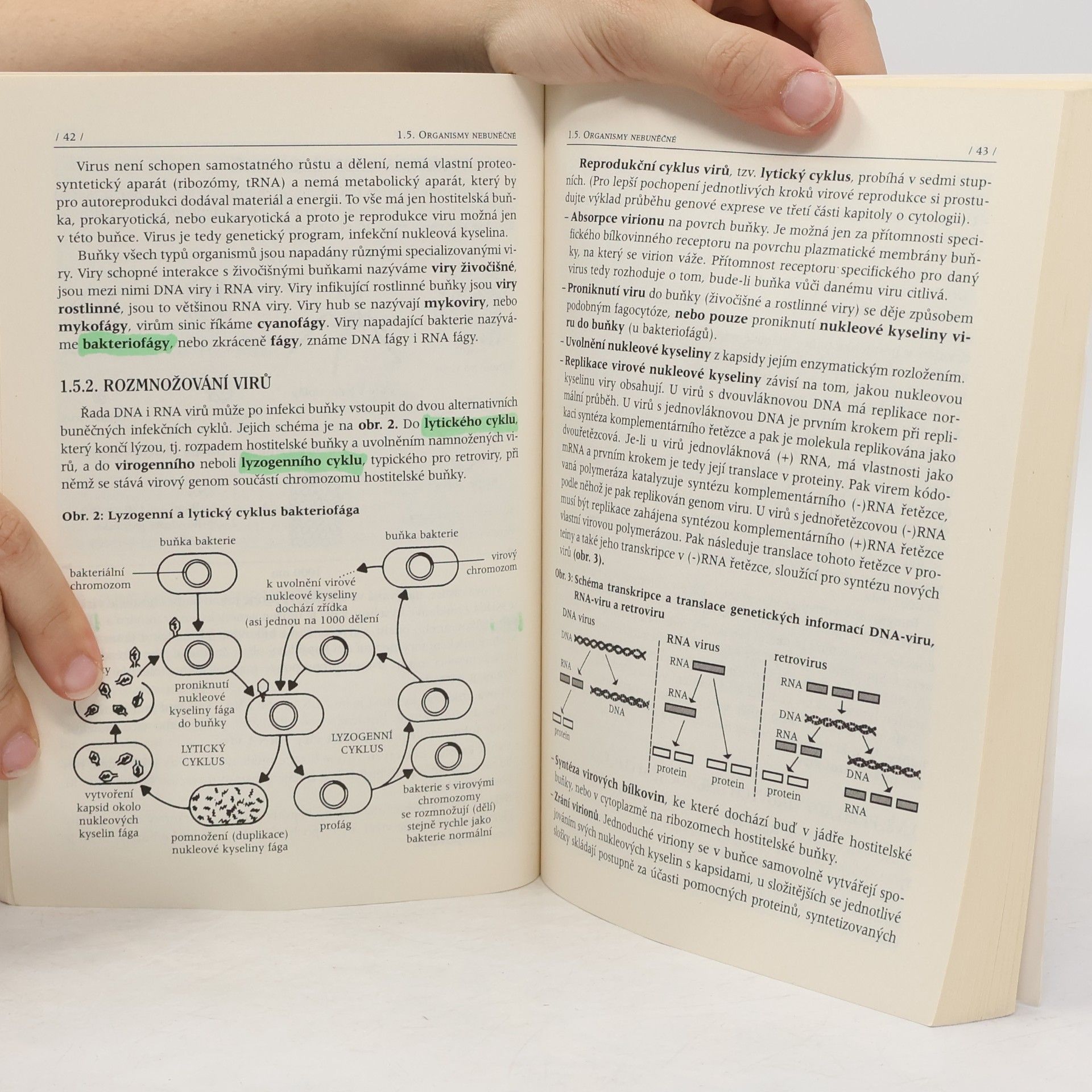 Vlastimila Chalupová-Karlovská Obecná biologie : evoluce, biologie buňky, genetika : s 558 řešenými testovými otázkami